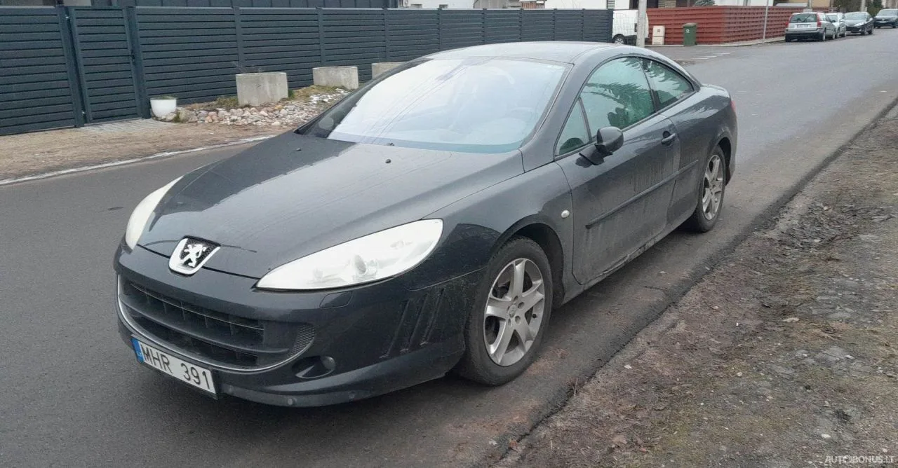 Peugeot 407, 2006