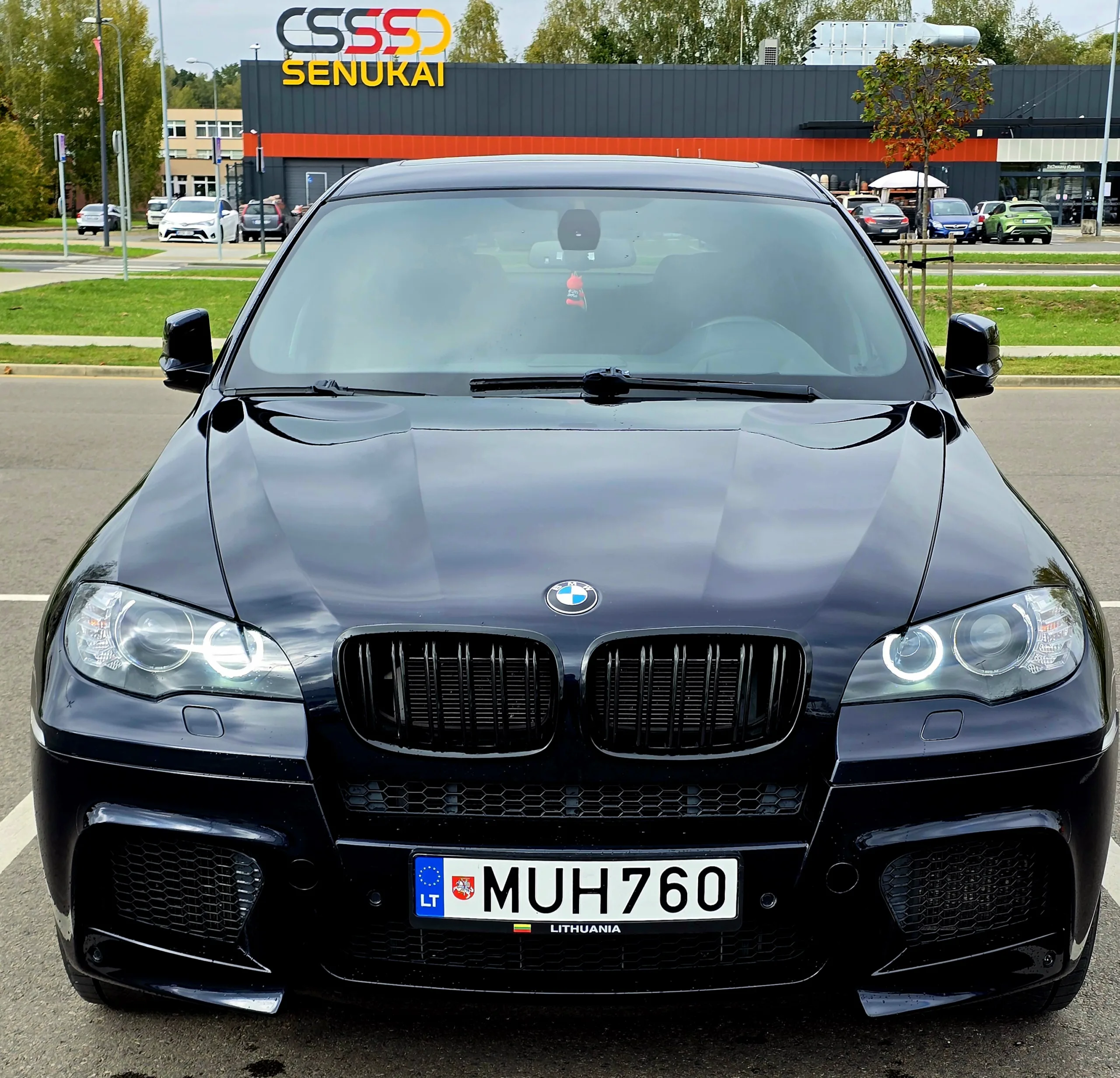 BMW X6, 2010