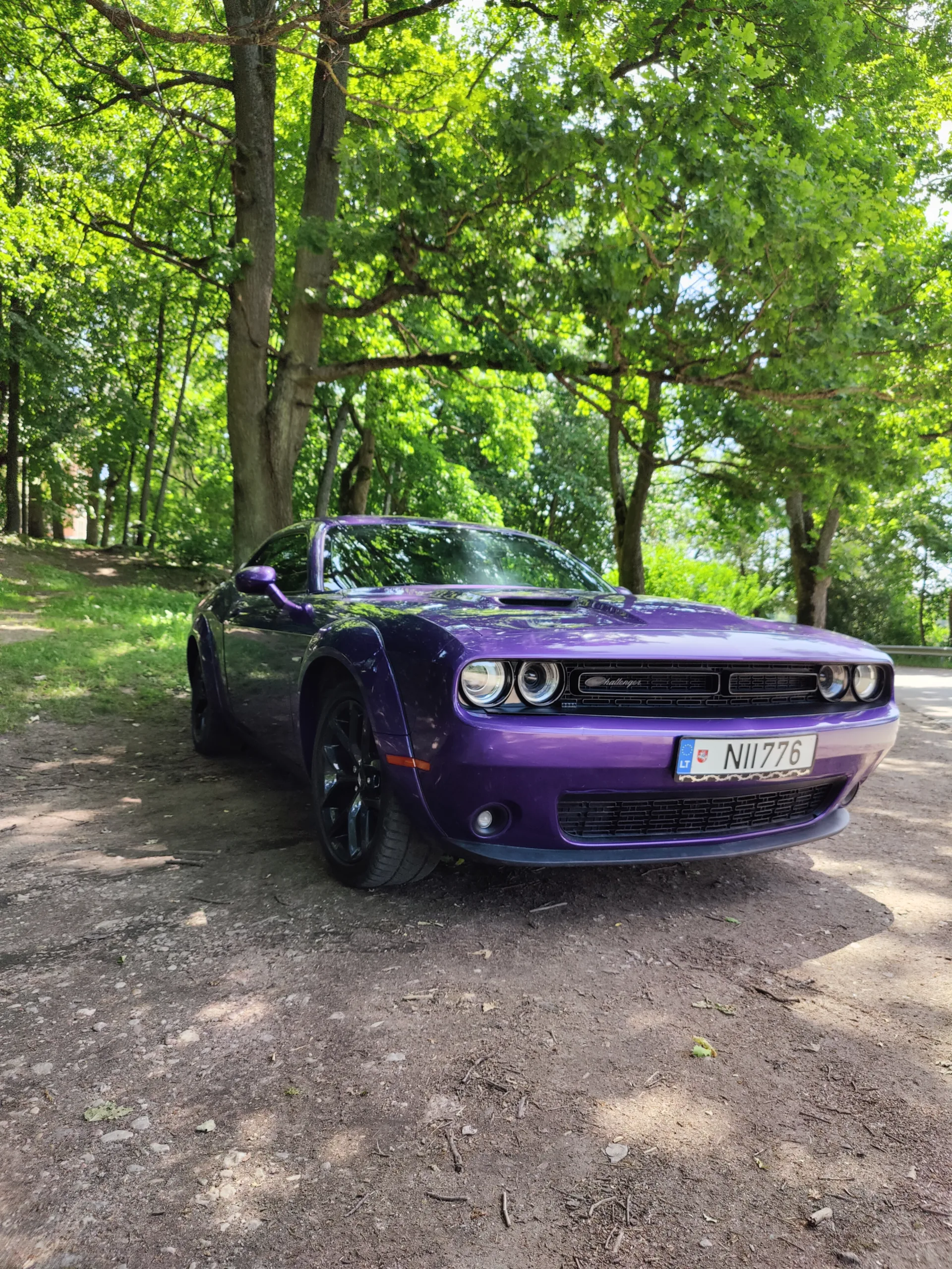 Dodge Challenger, 2019