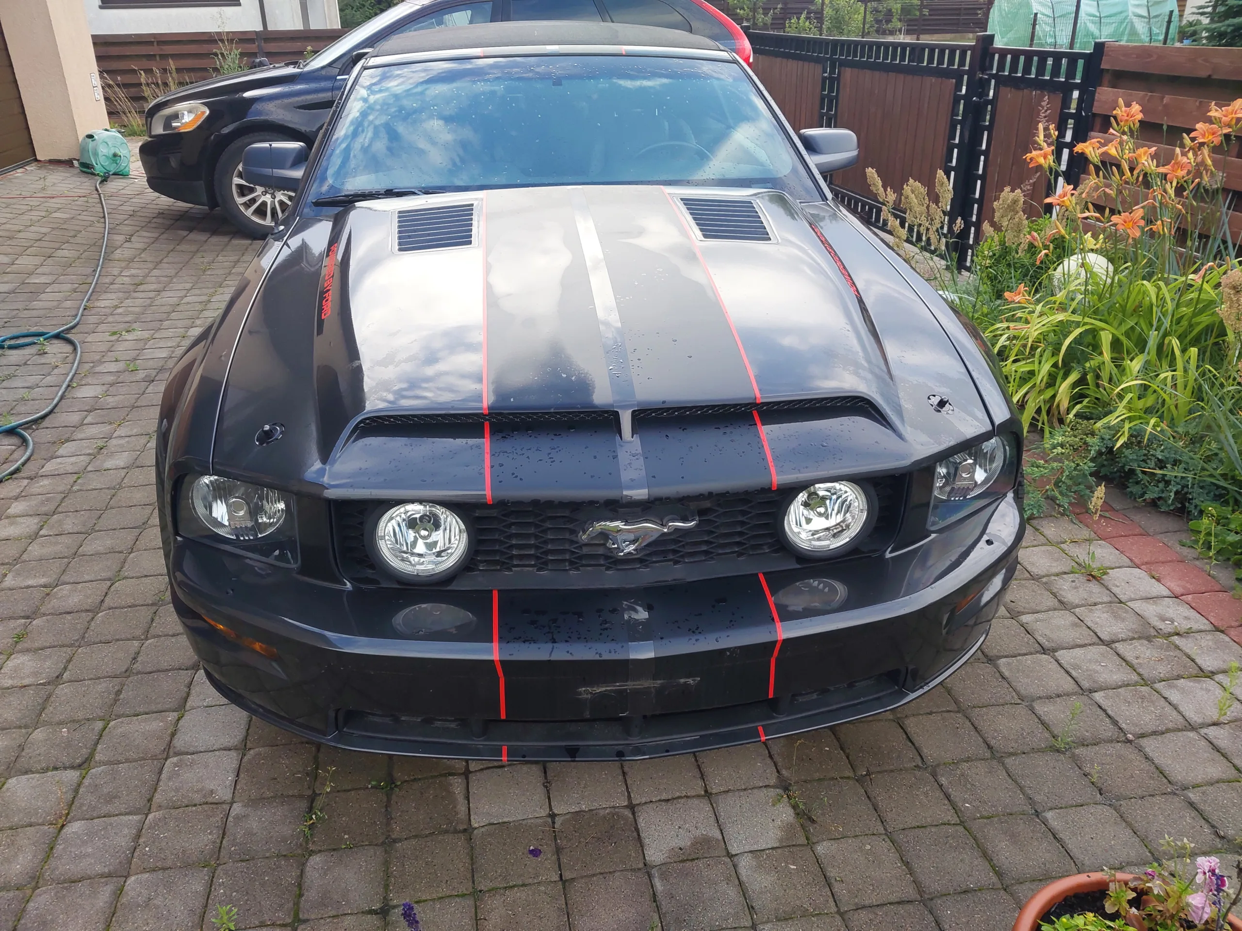 Ford Mustang, 2007