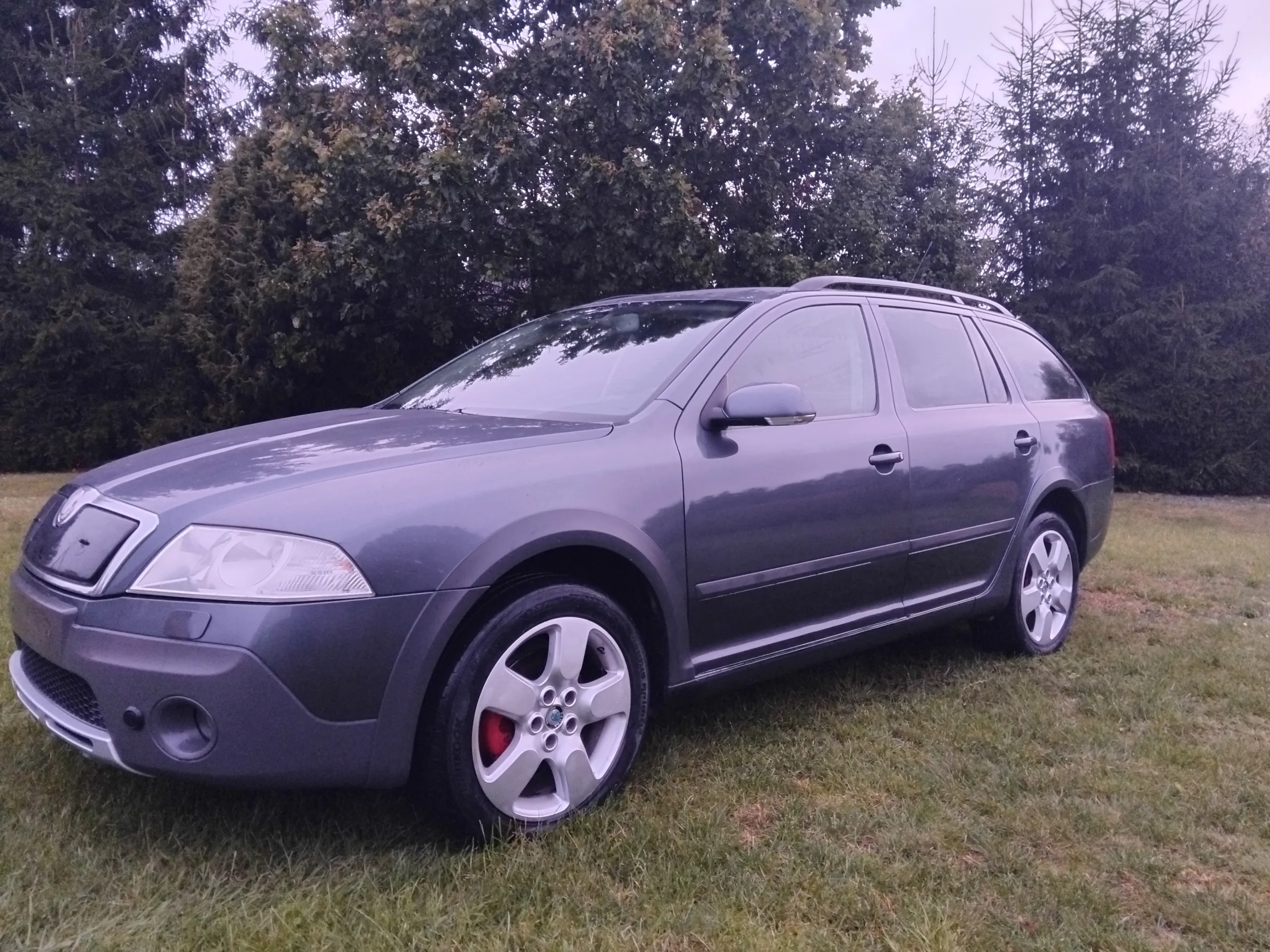 Skoda Octavia Scout, 2008