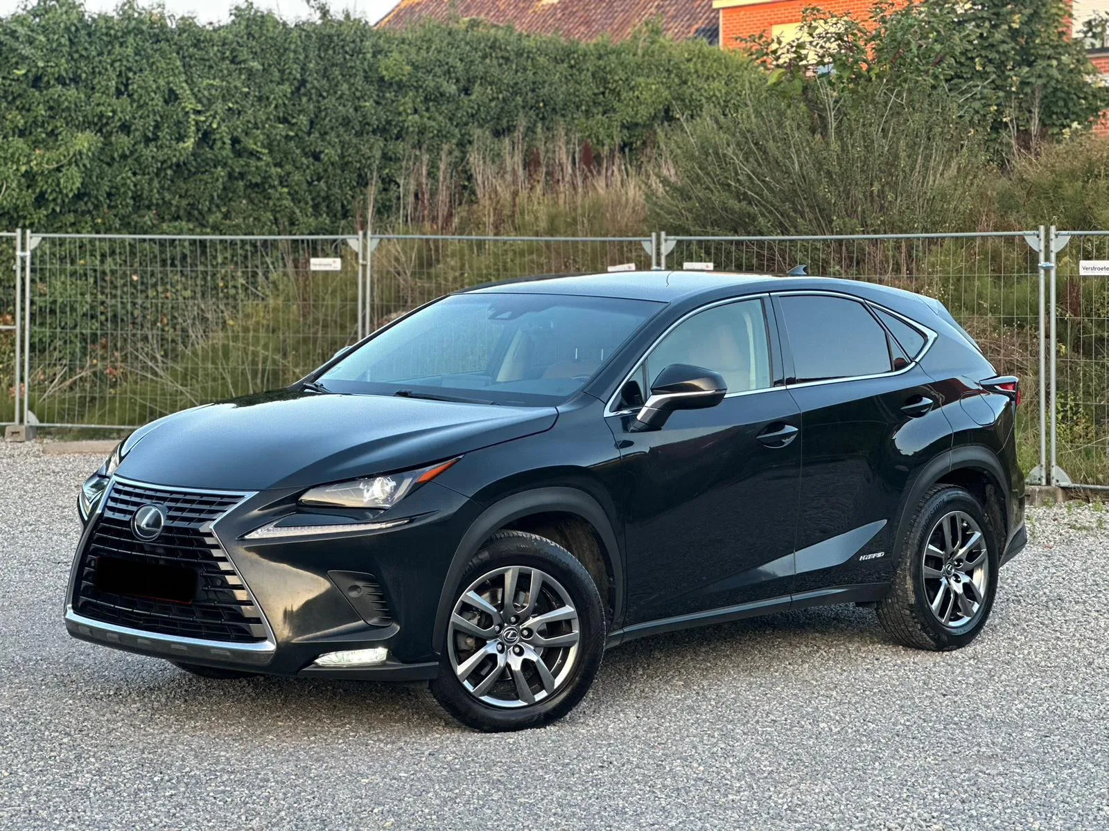 Lexus NX 300h, 2018