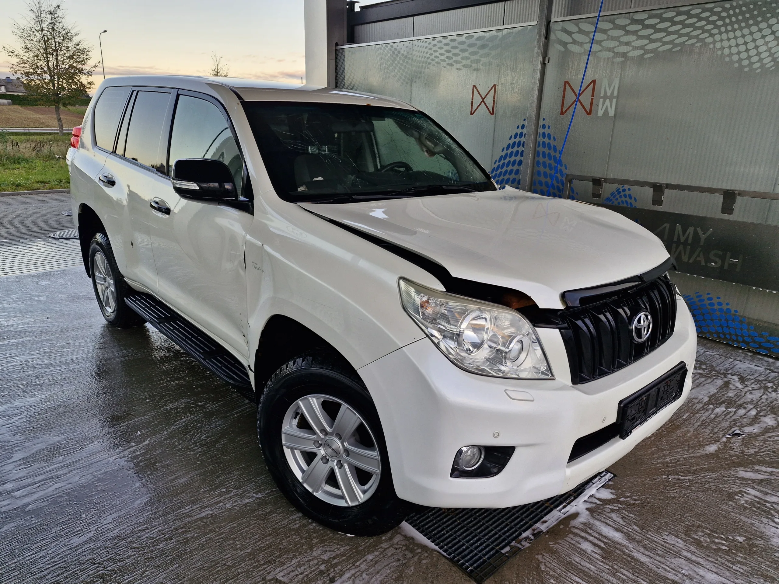 Toyota Land Cruiser, 2011