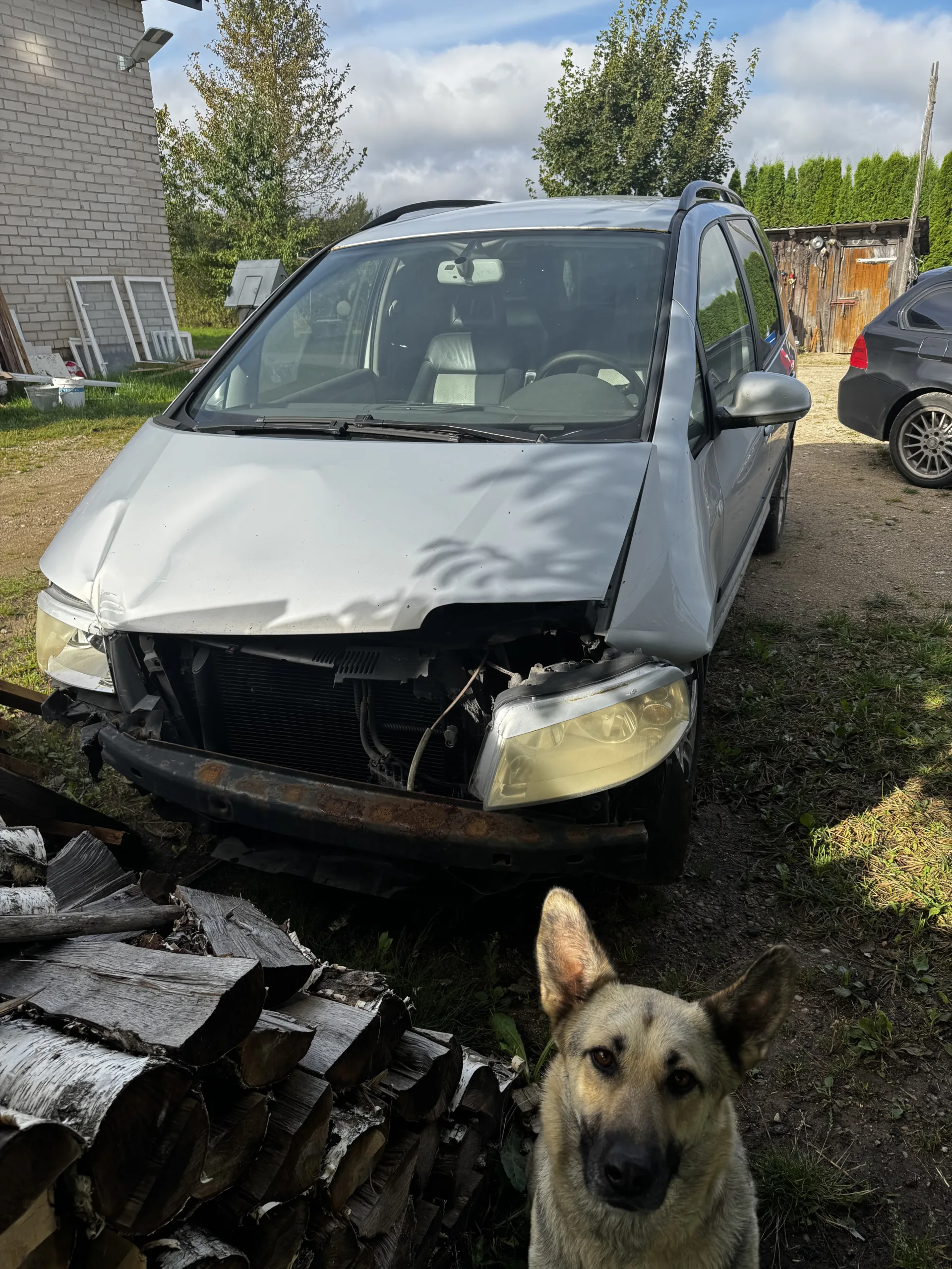 Volkswagen Sharan, 2003