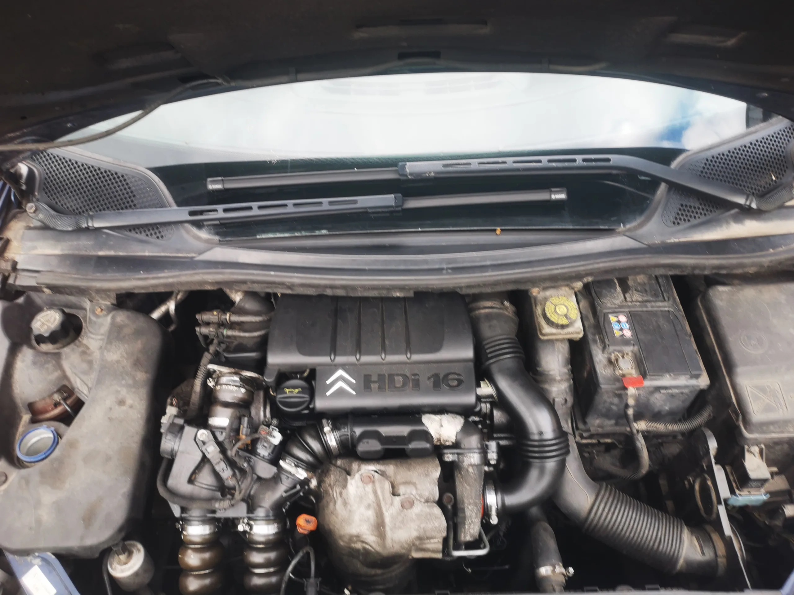 Citroen C4, 2008