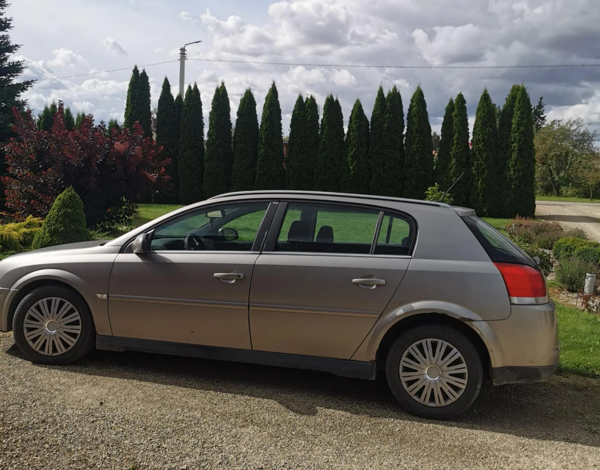 Opel Signum, 2003