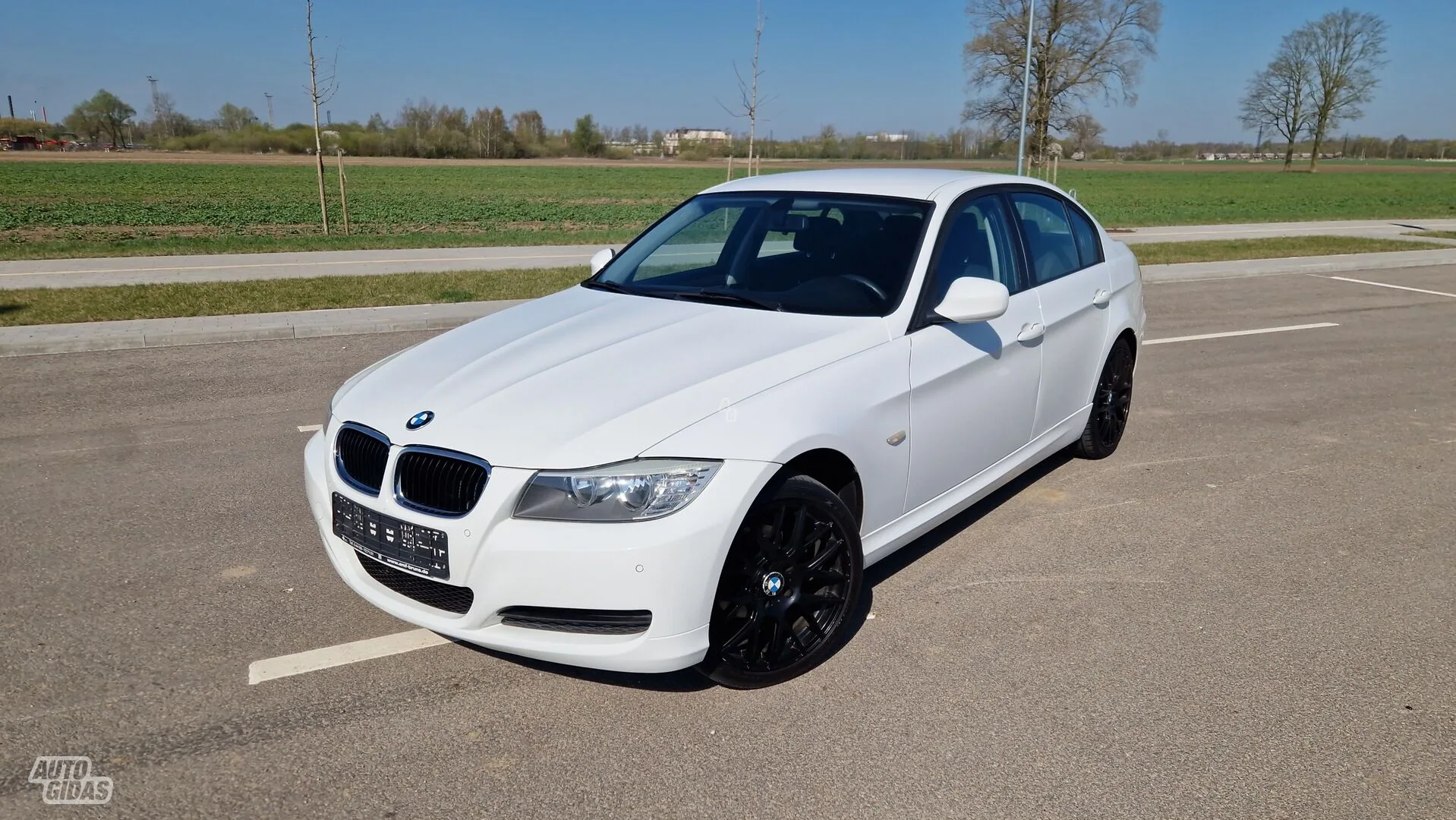 BMW 316, 2010