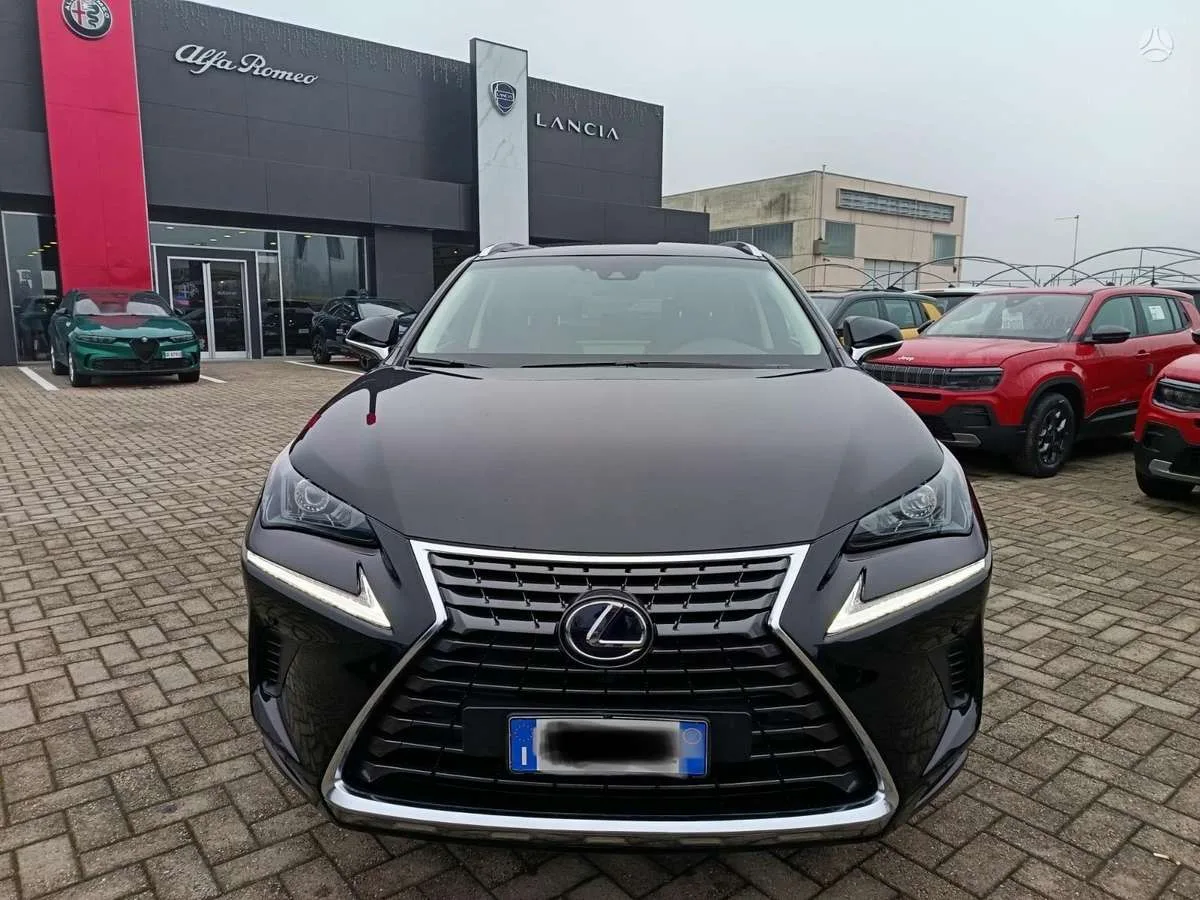 Lexus NX 300h, 2018