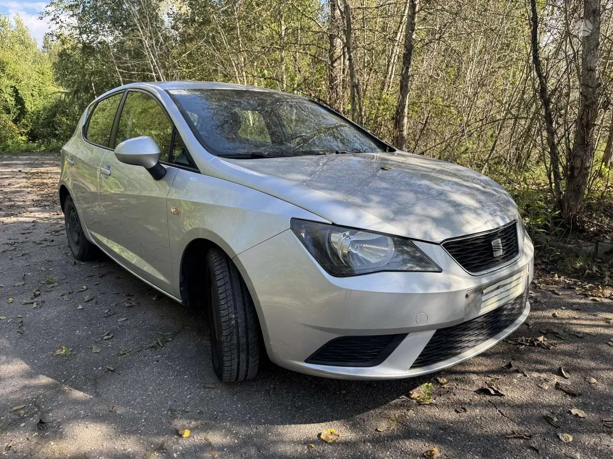 SEAT Ibiza, 2013