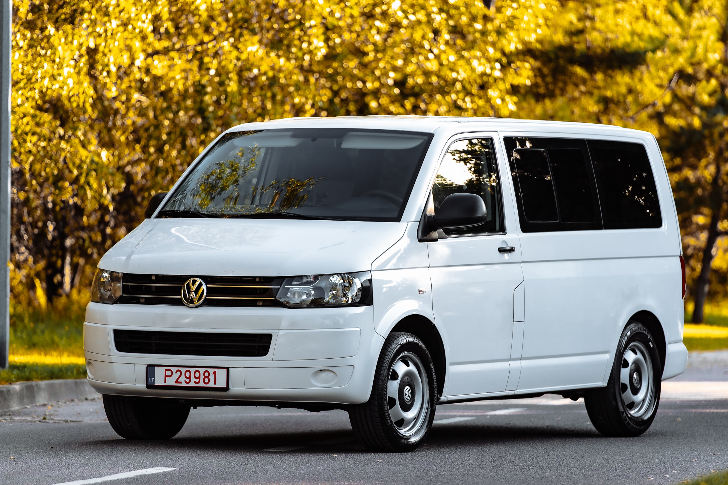 Volkswagen Multivan, 2010