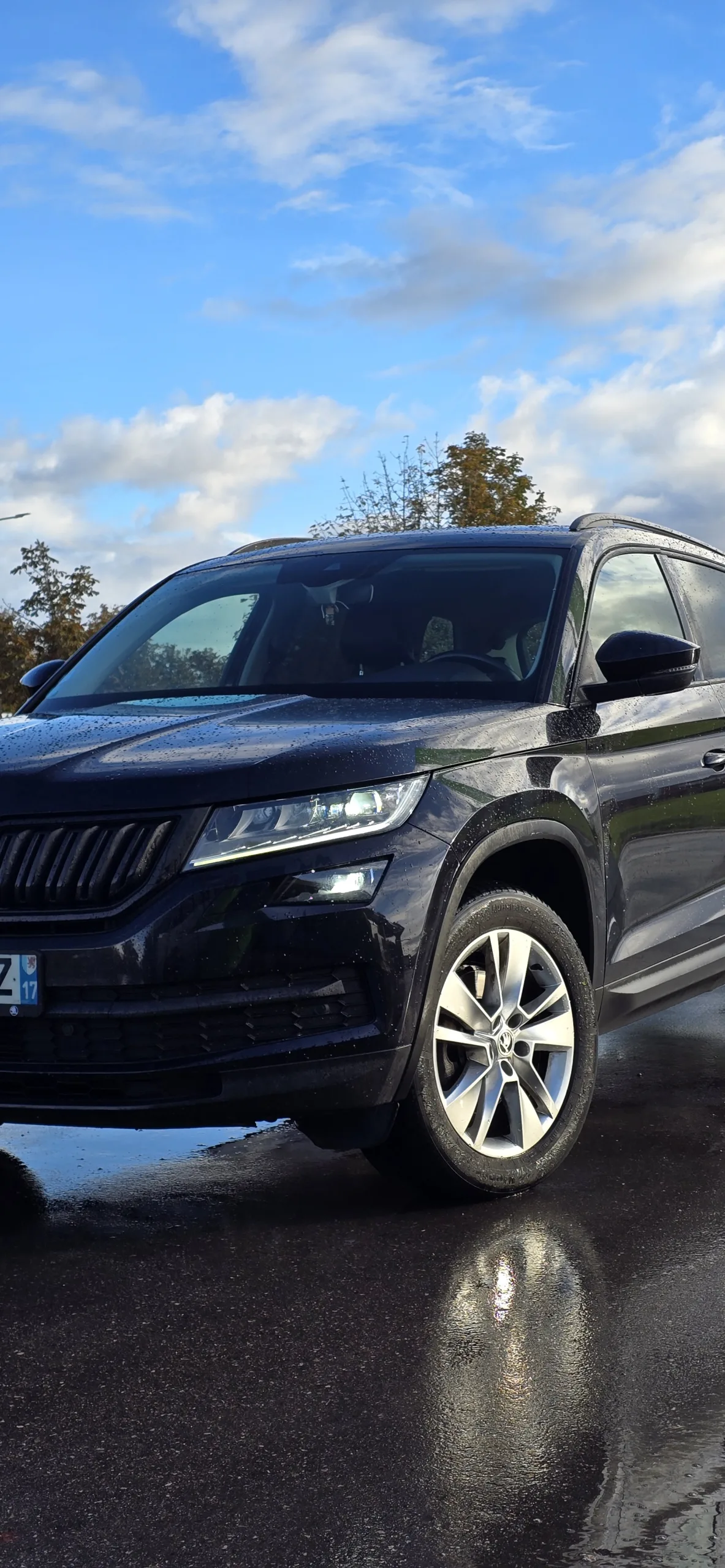 Skoda Kodiaq, 2019