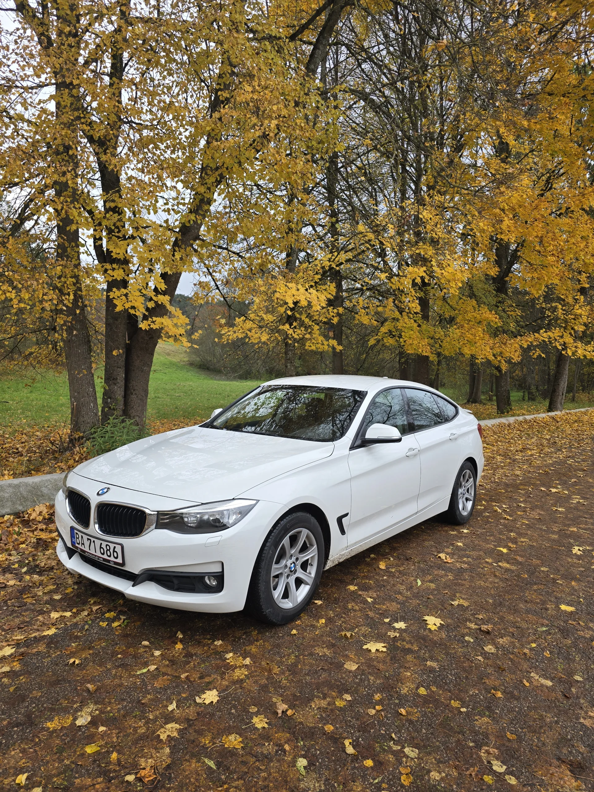 BMW 320, 2015