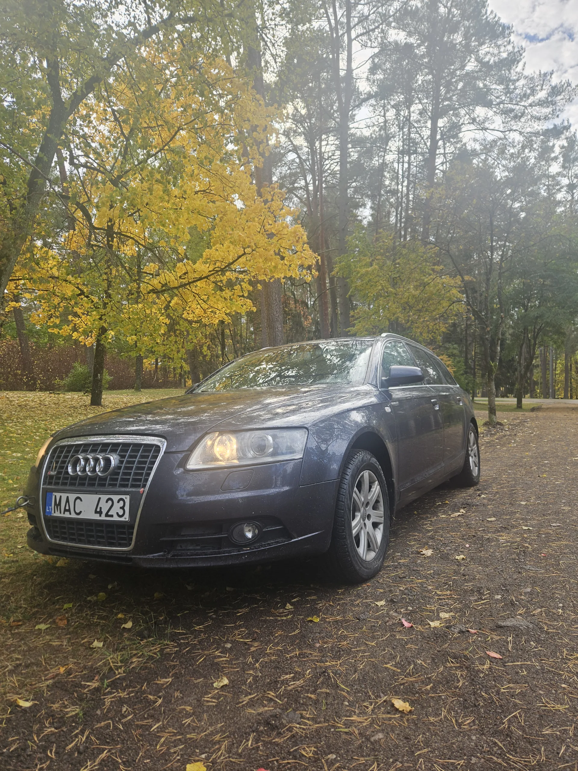 Audi A6, 2008