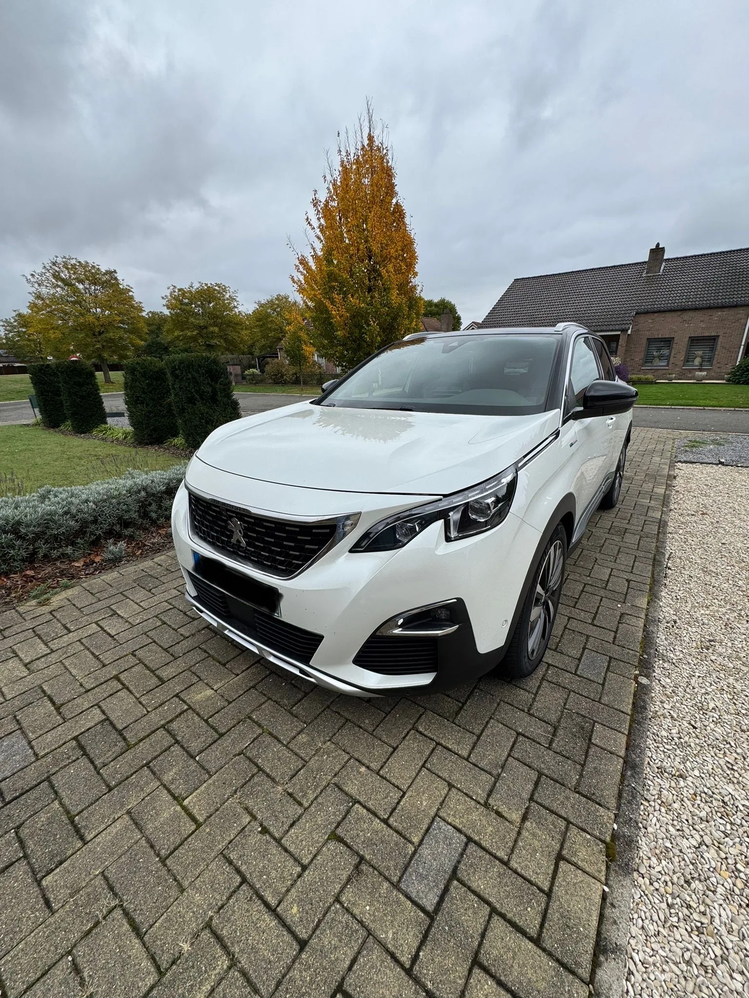 Peugeot 3008, 2020