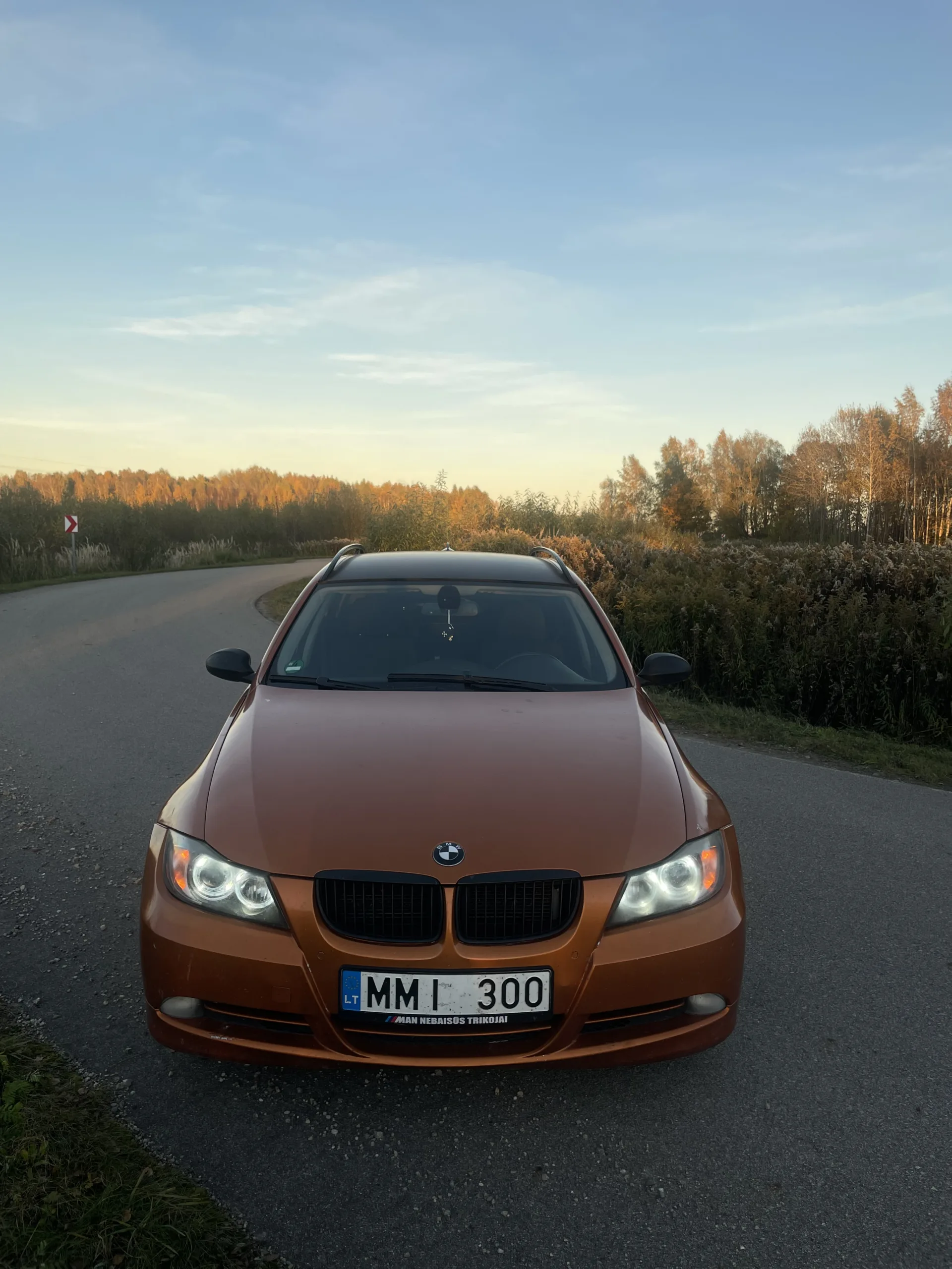 BMW 330, 2007