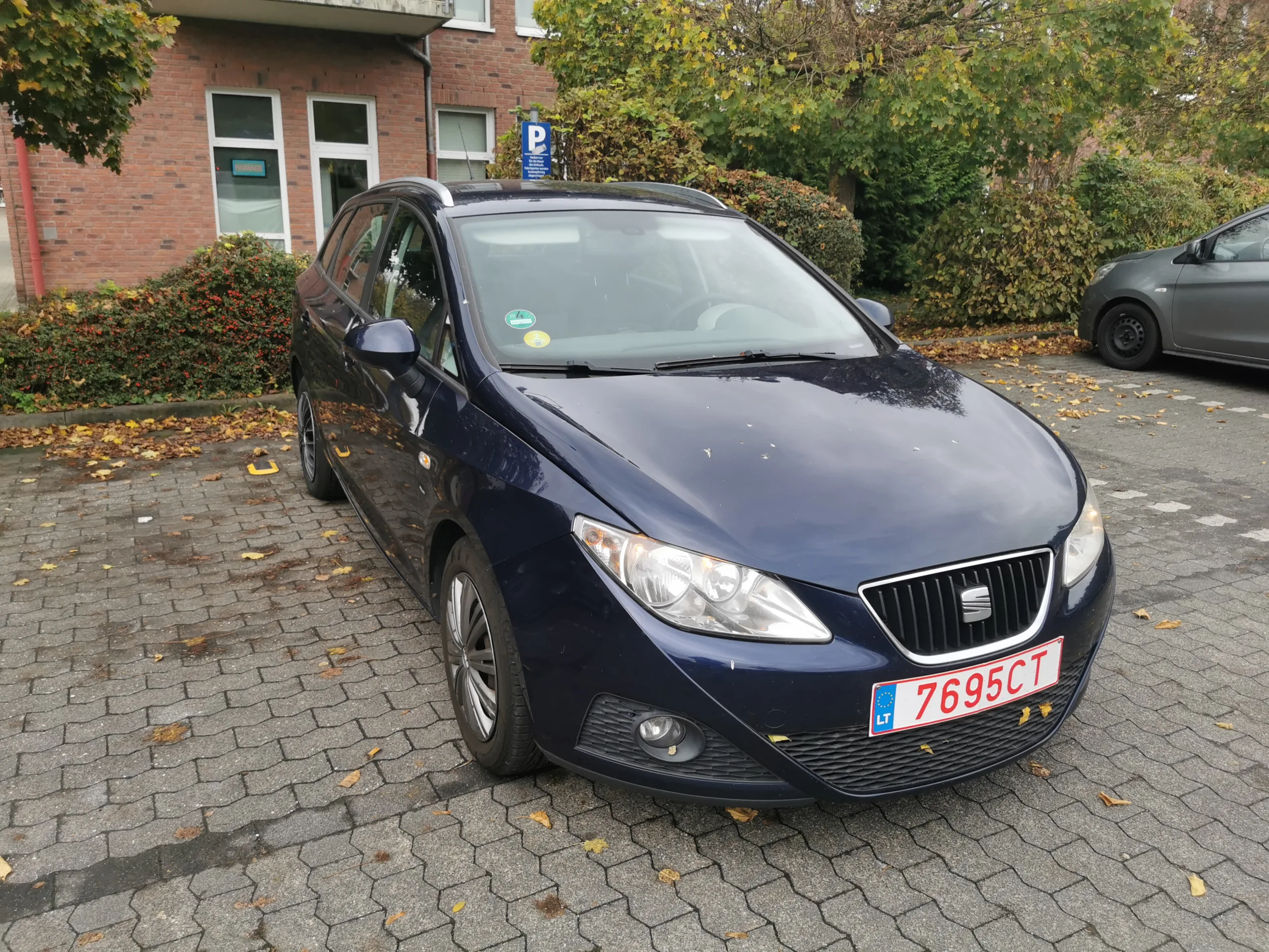 SEAT Ibiza, 2010