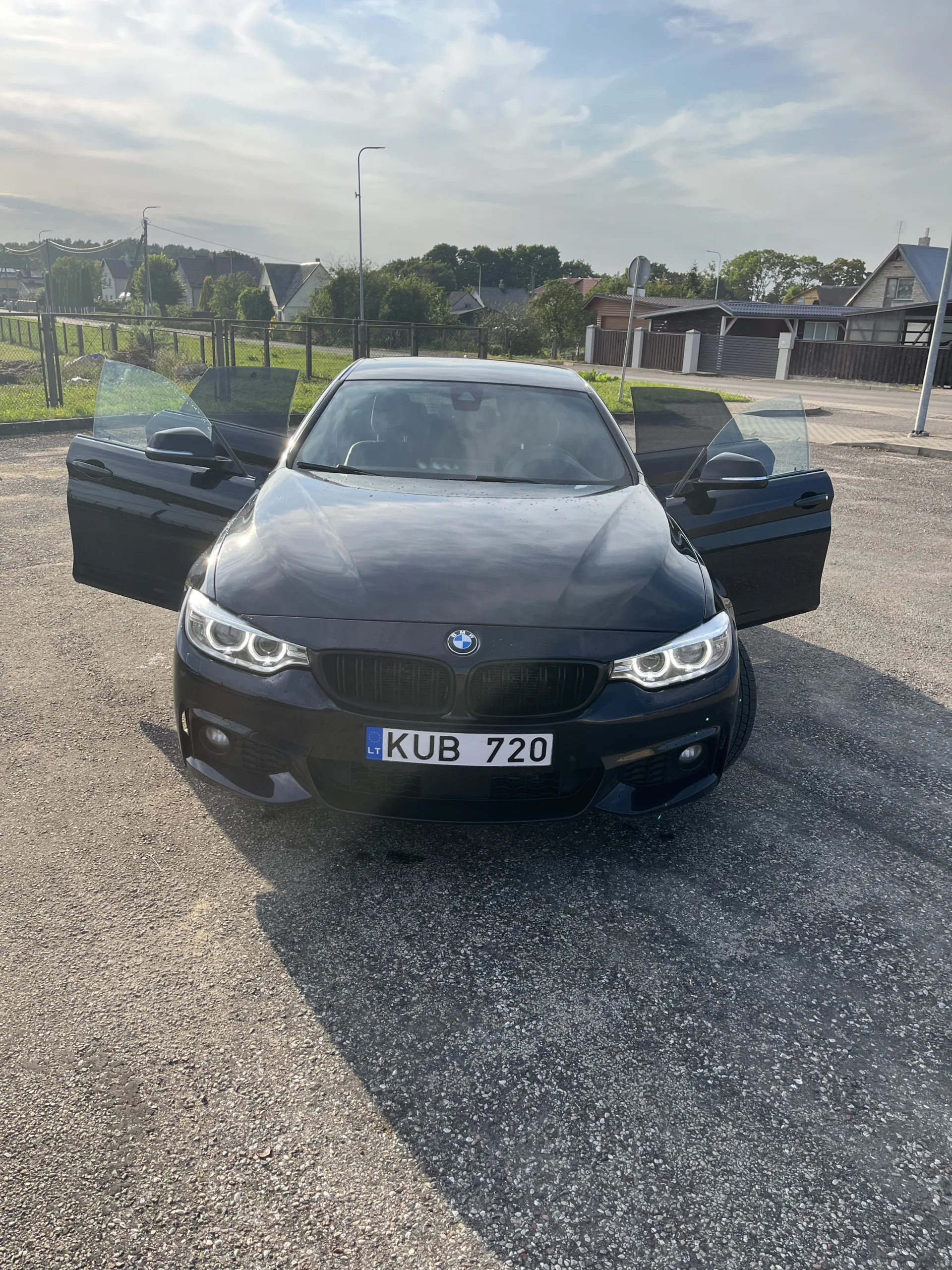 BMW 420, 2017