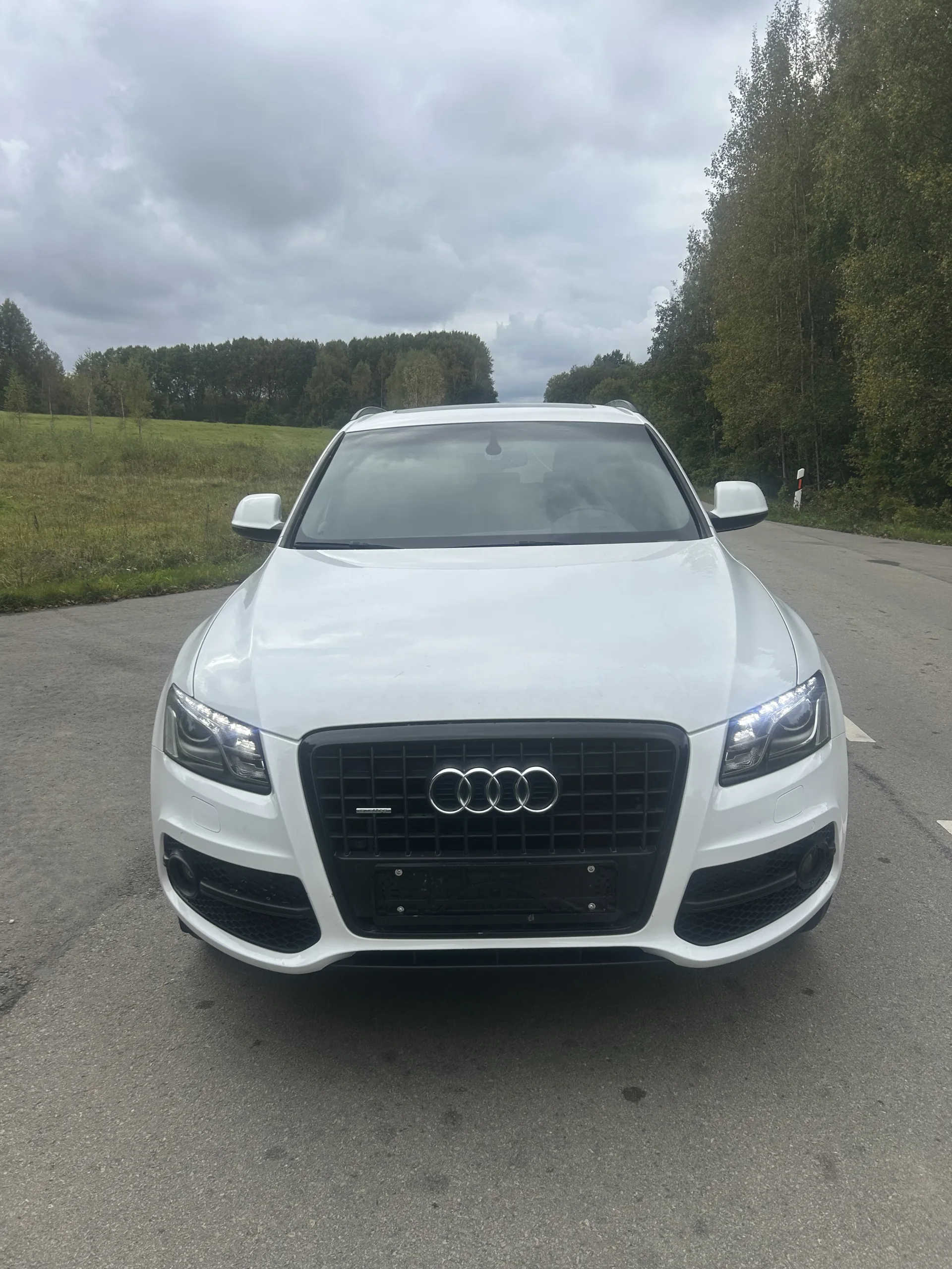 Audi Q5, 2010