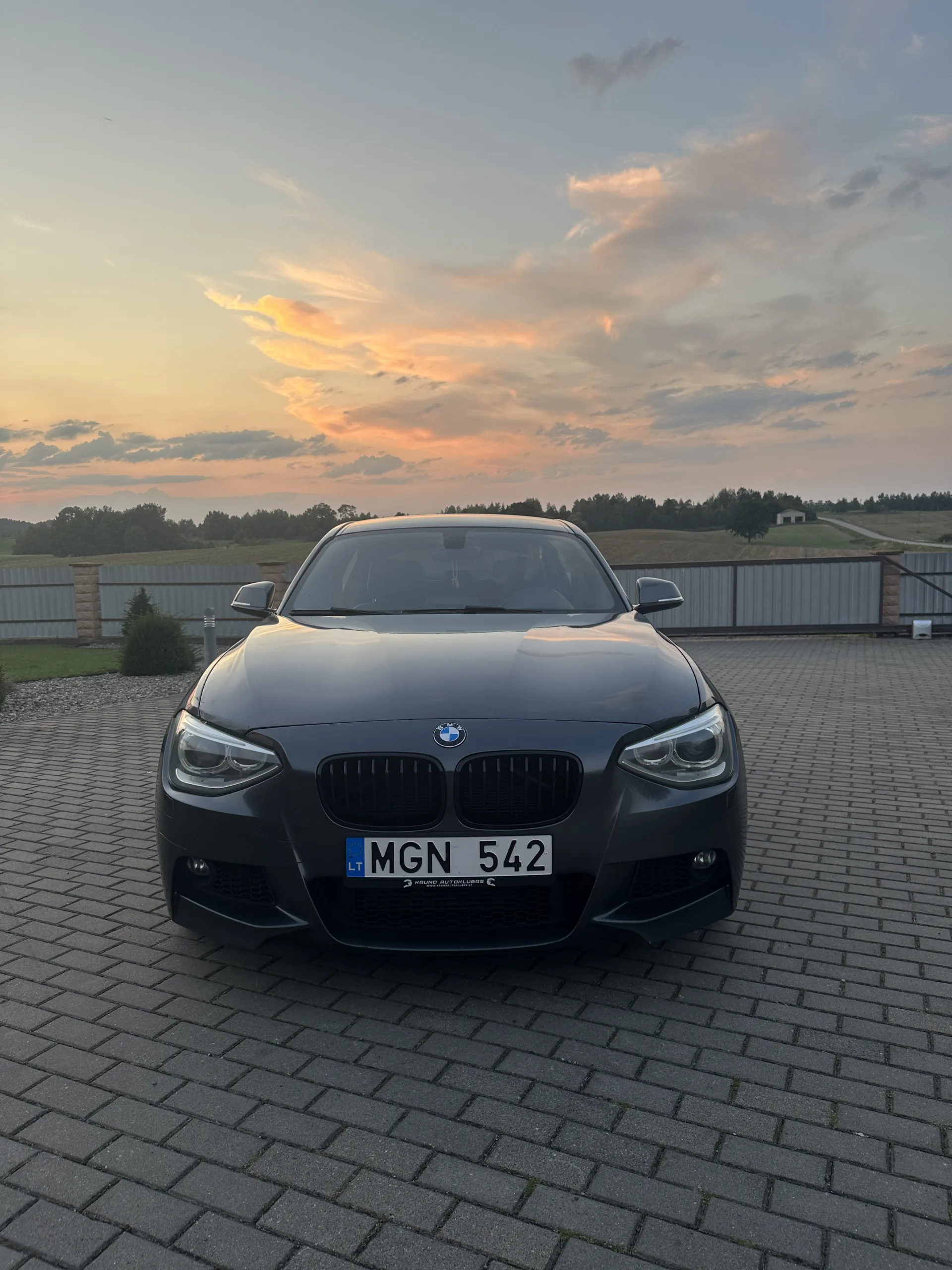 BMW 116, 2012