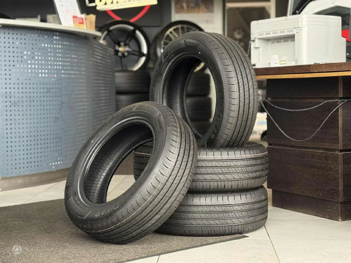 Goodyear EFFICIENTGRIP PERF. 205/60 R16