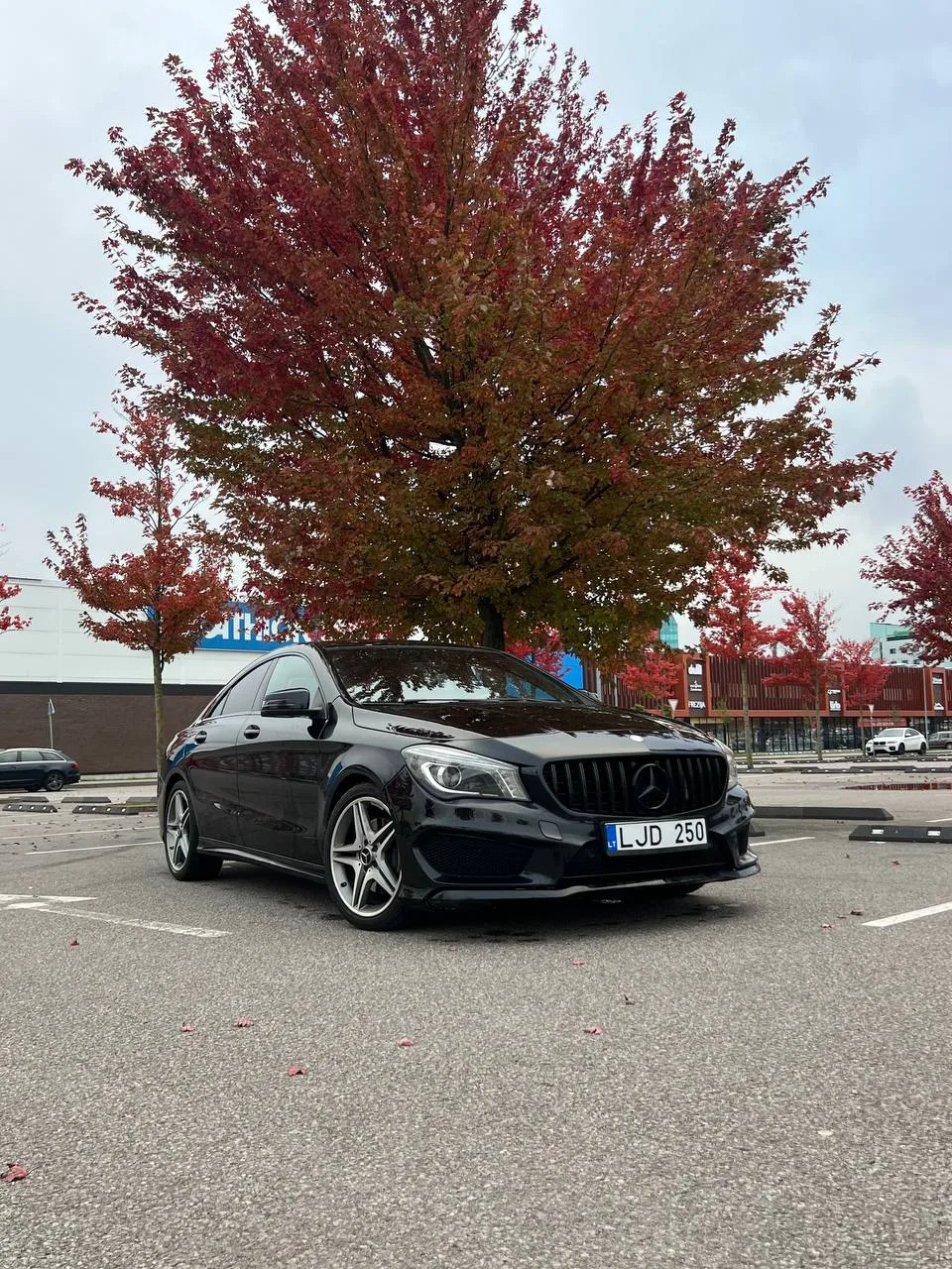 Mercedes-Benz Kita, 2014