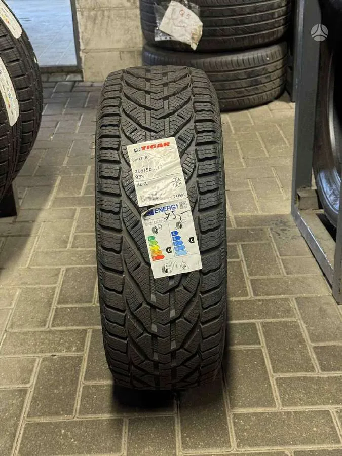 Tigar WINTER XL TL 205/50 R17