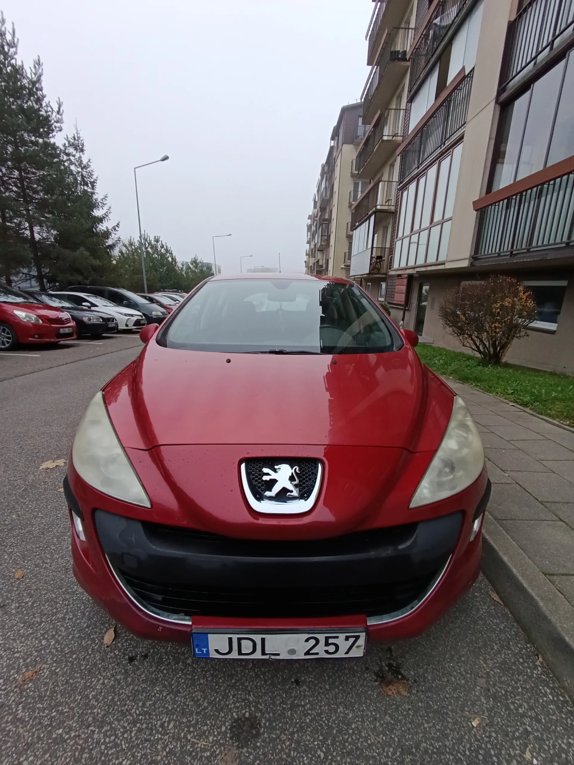 Peugeot 308, 2008