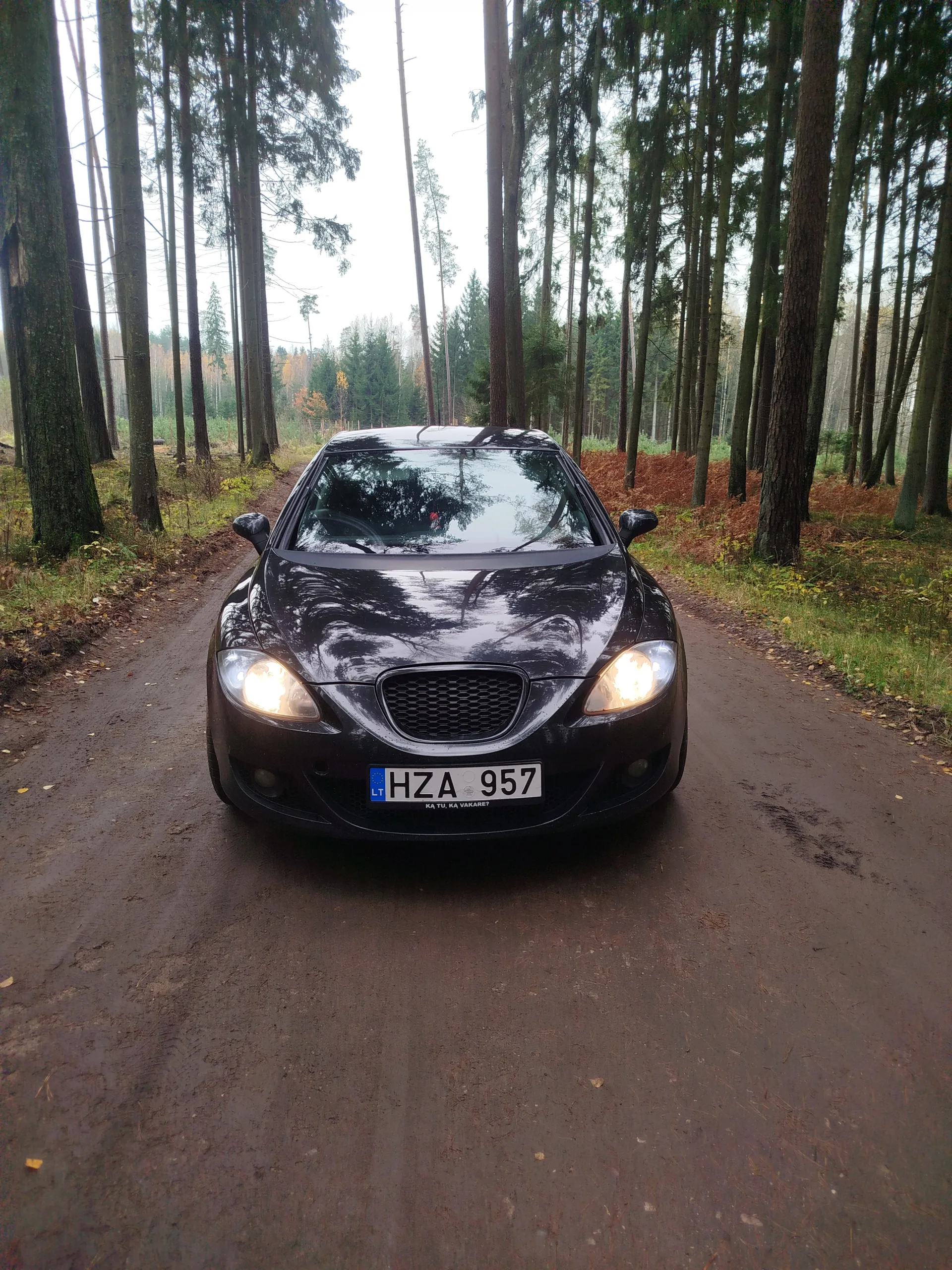 SEAT Leon, 2006