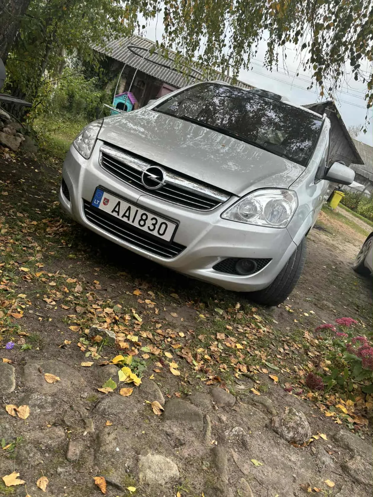 Opel Zafira, 2010