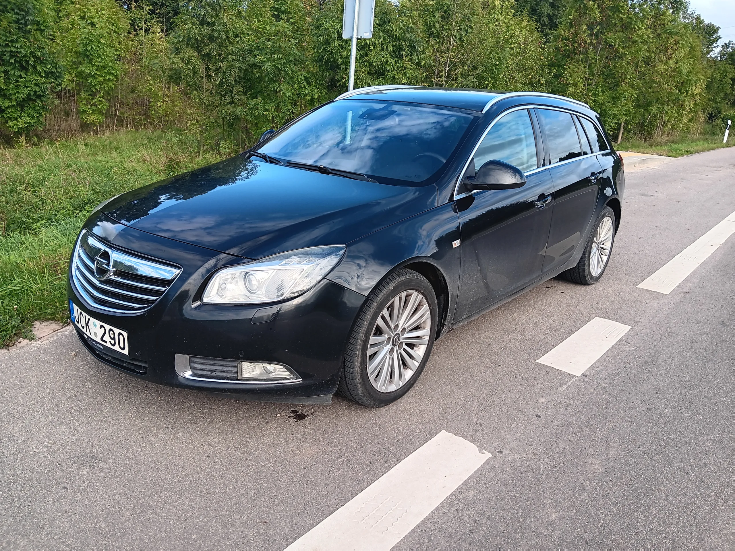 Opel Insignia, 2010