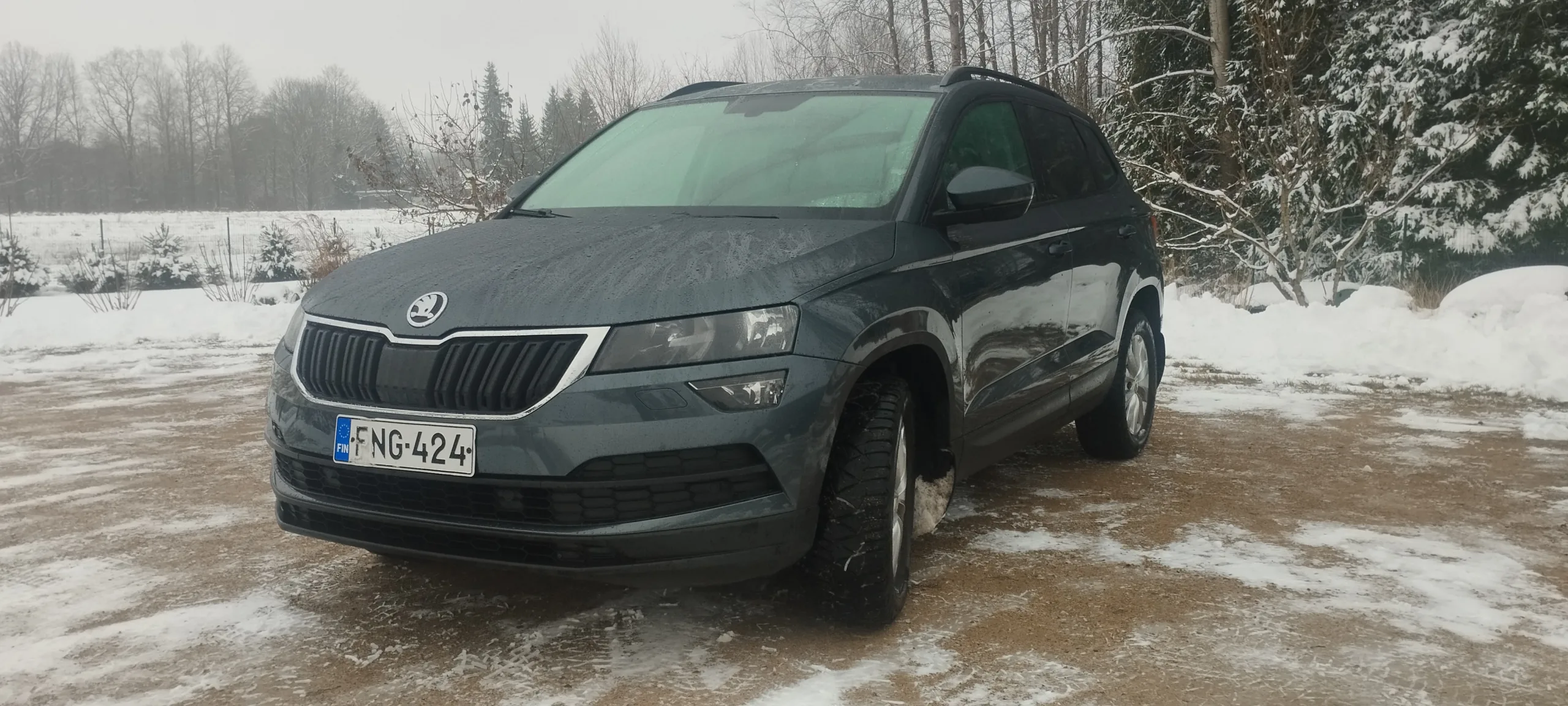 Skoda Karoq, 2018