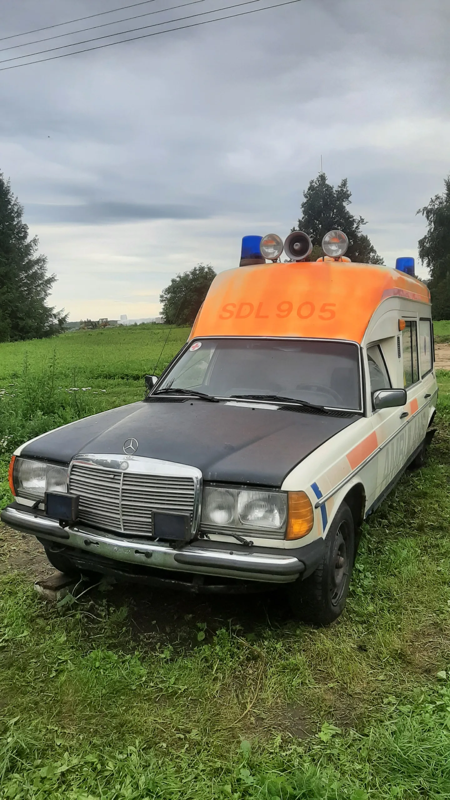 Mercedes-Benz Kita, 1984