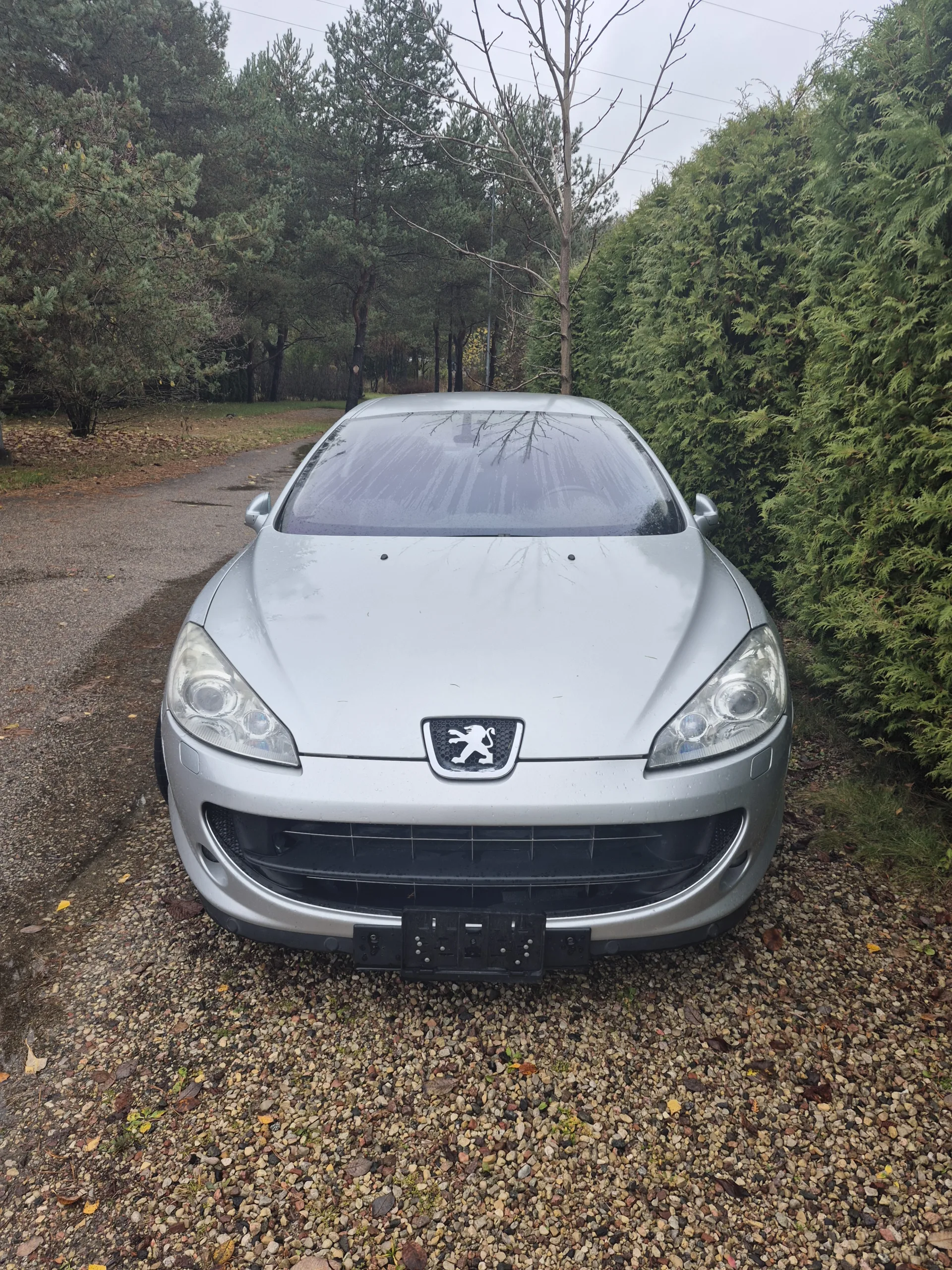 Peugeot 407, 2006
