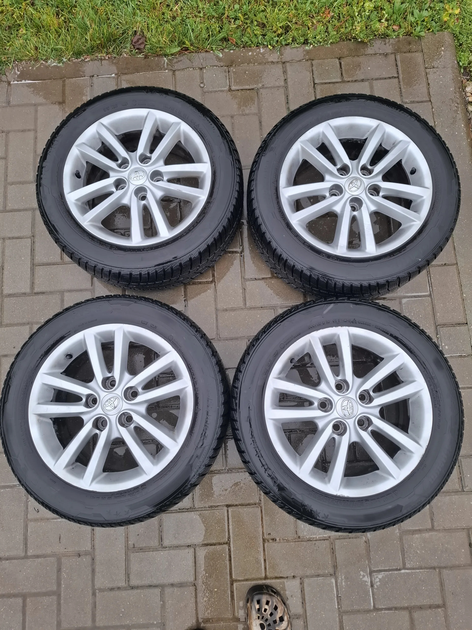 Barum Poliaris 5 205/55 R16