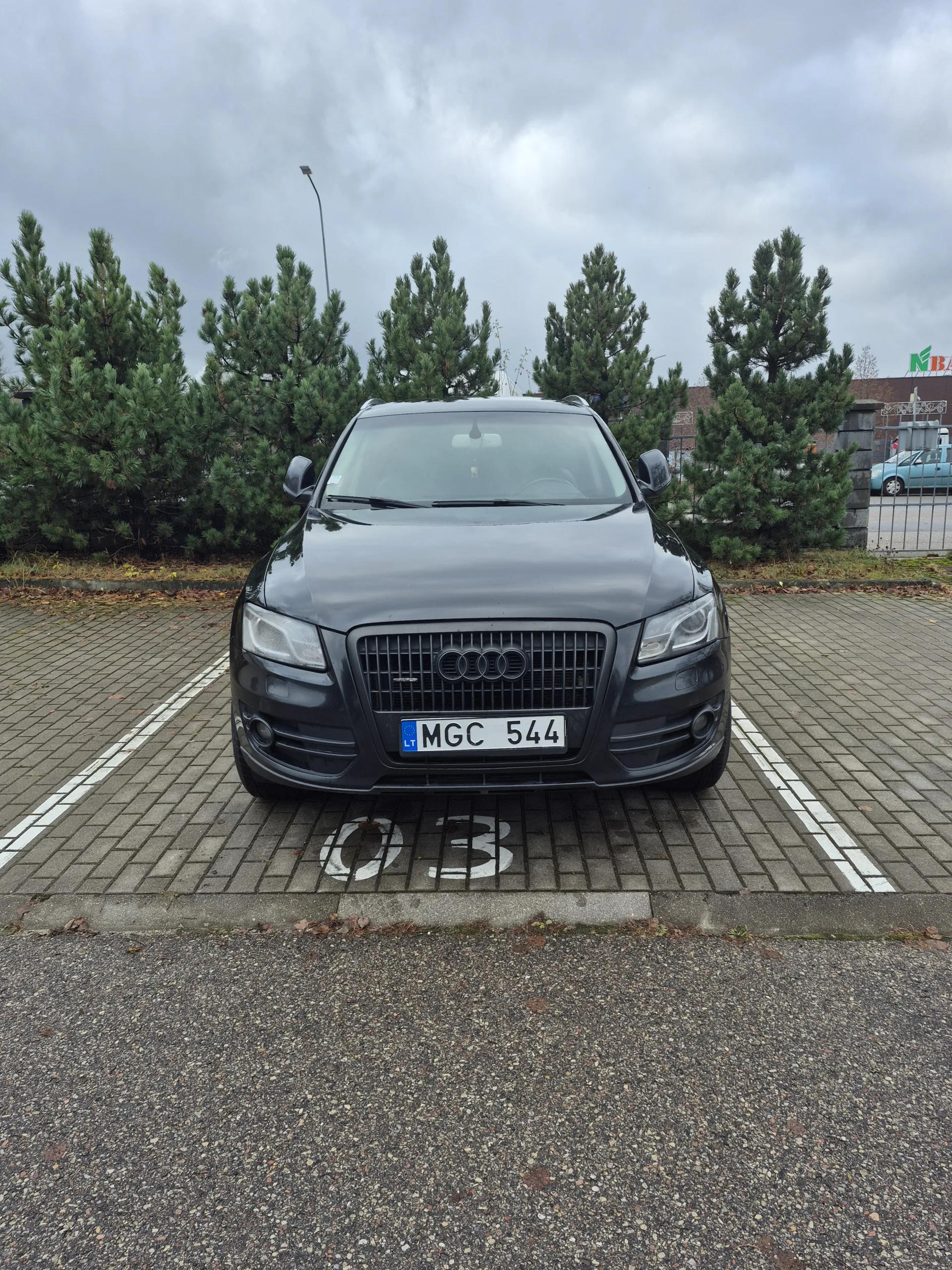 Audi Q5, 2009