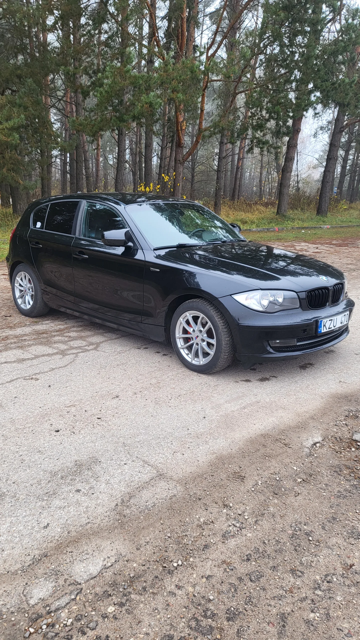 BMW 120, 2011