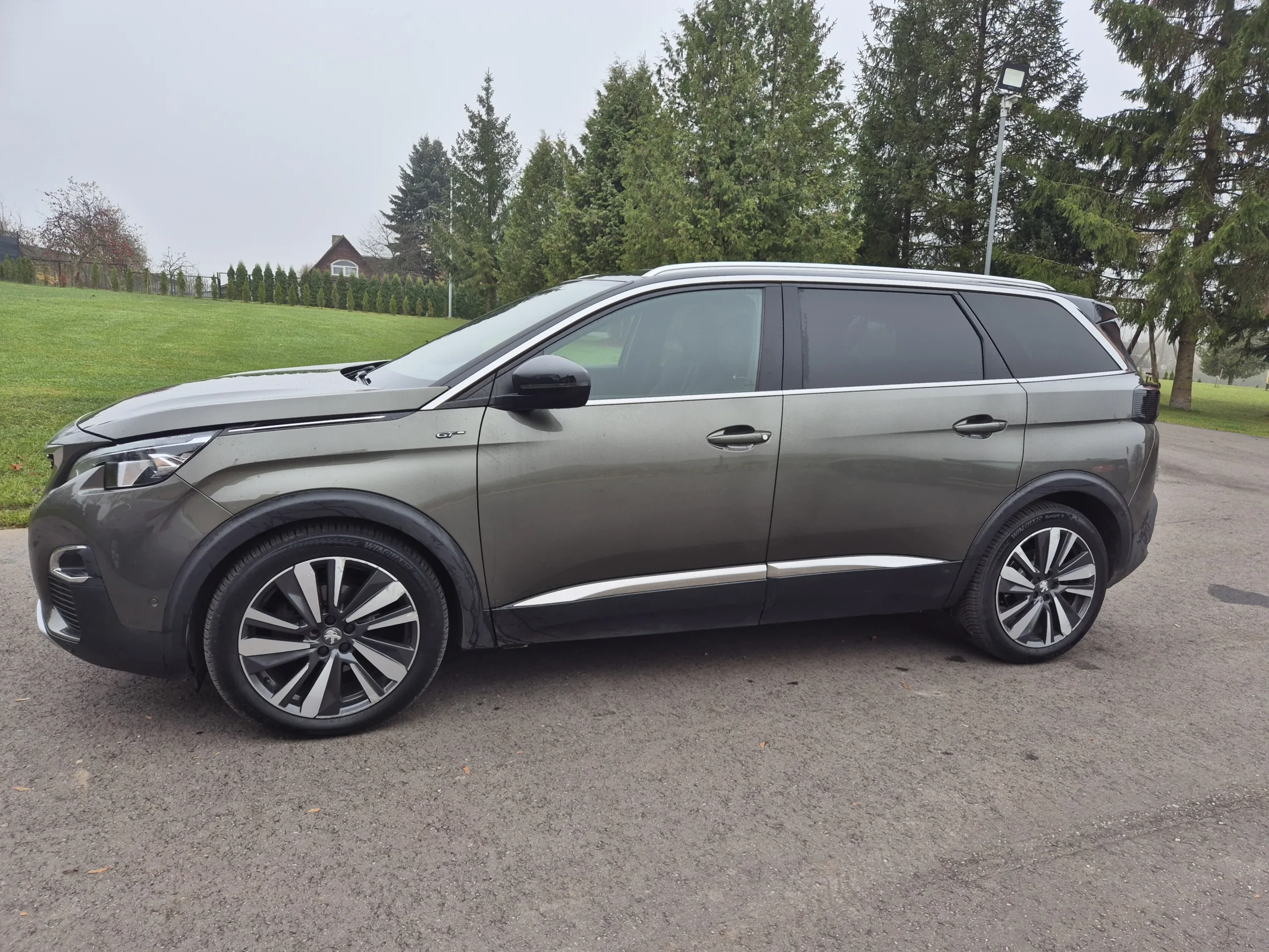 Peugeot 5008, 2019