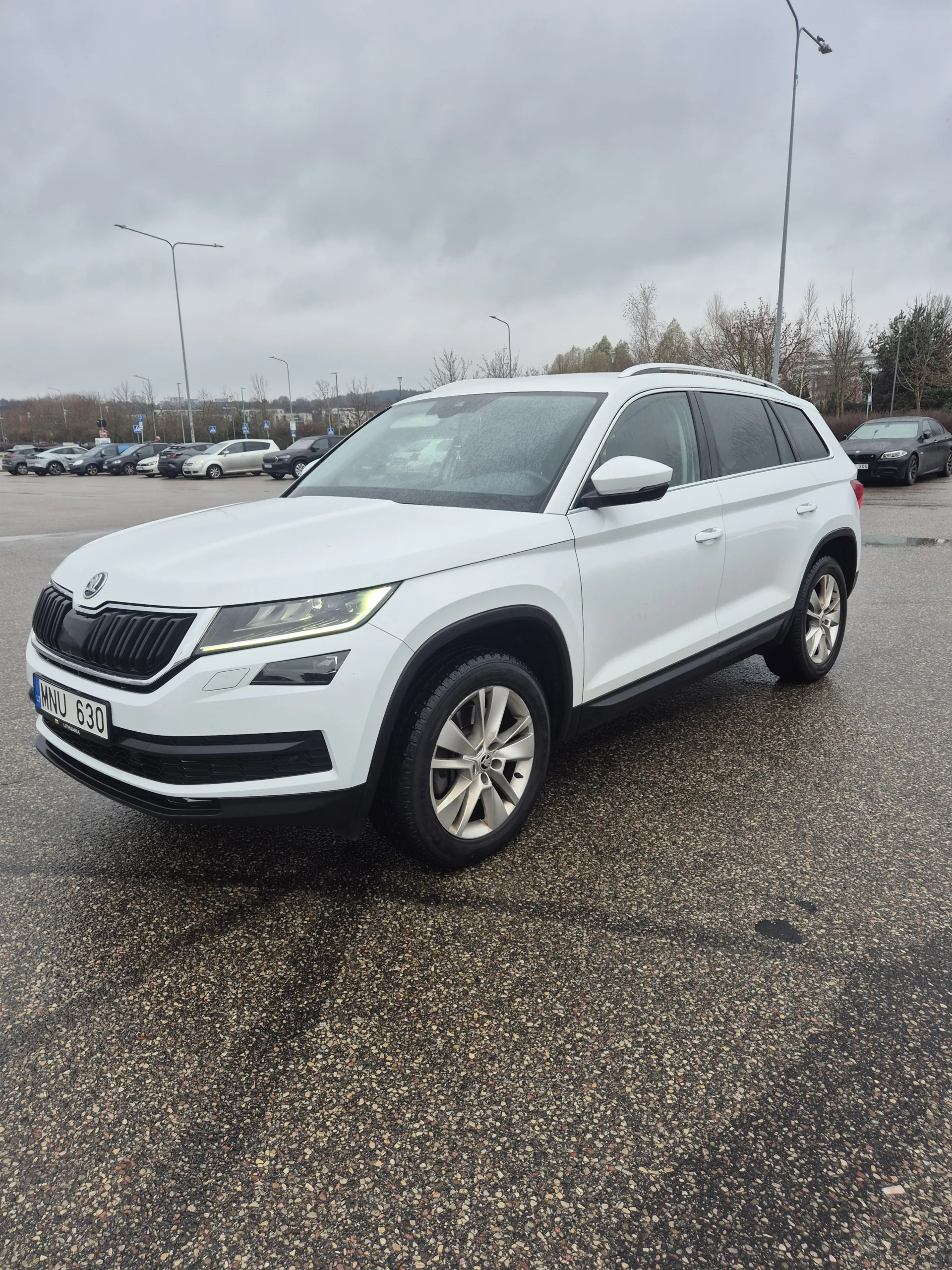 Skoda Kodiaq, 2018