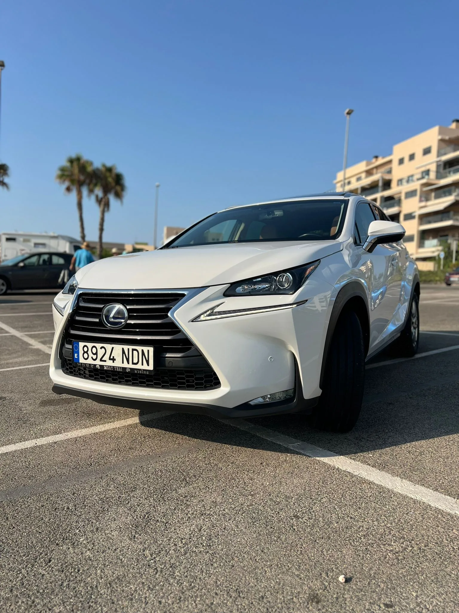 Lexus NX 300h, 2014