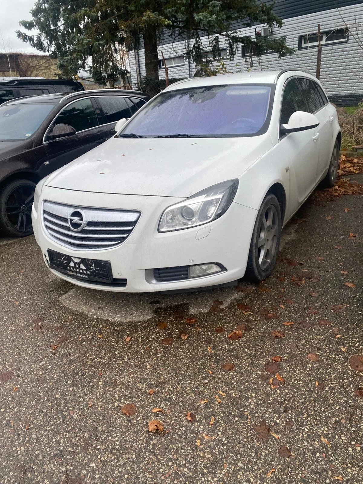 Opel Insignia, 2010