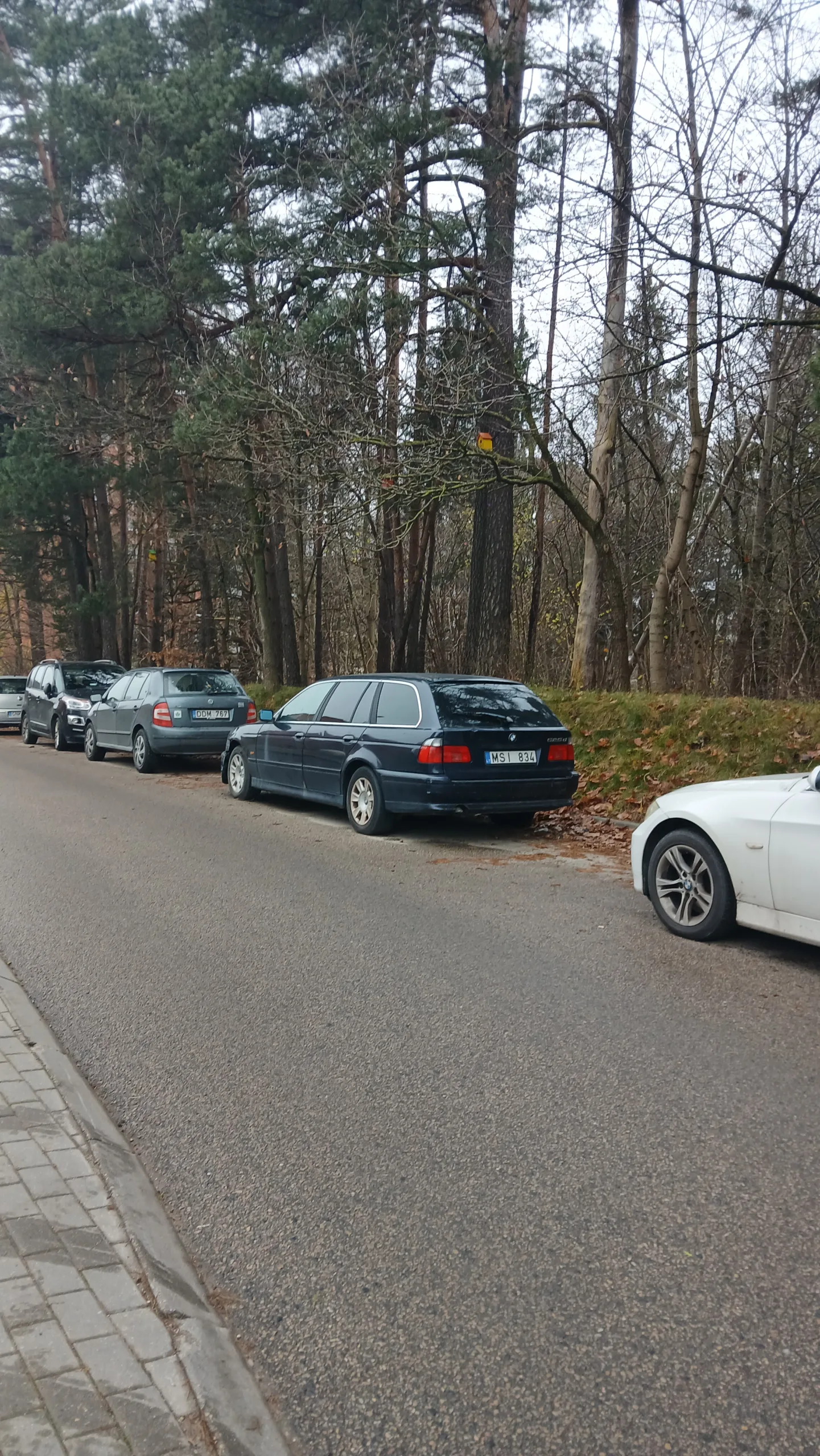 BMW 525d, 2001