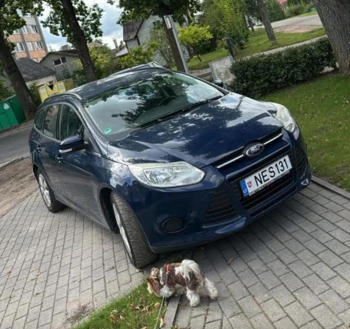 Ford Focus, 2013