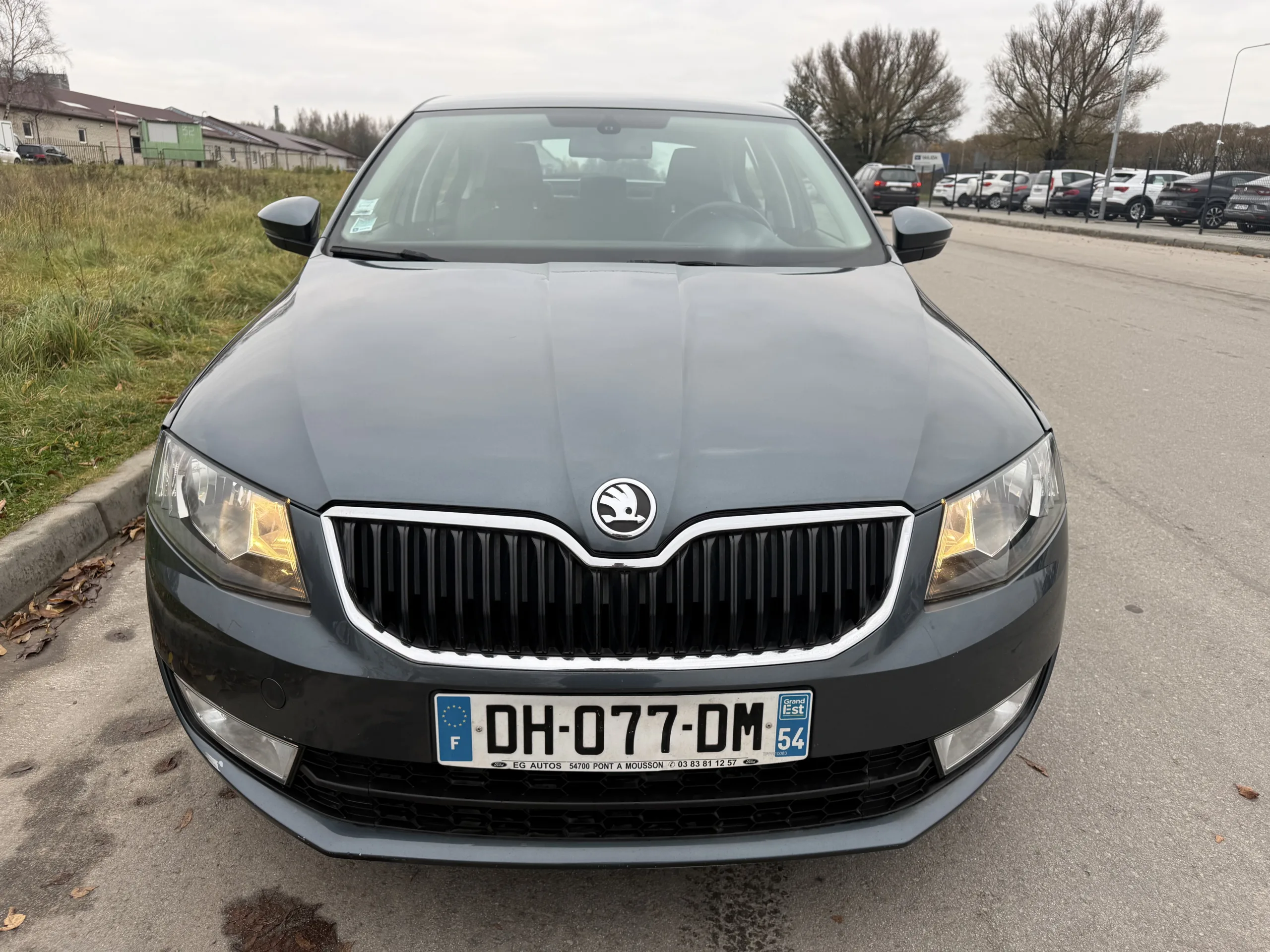 Skoda Octavia, 2014