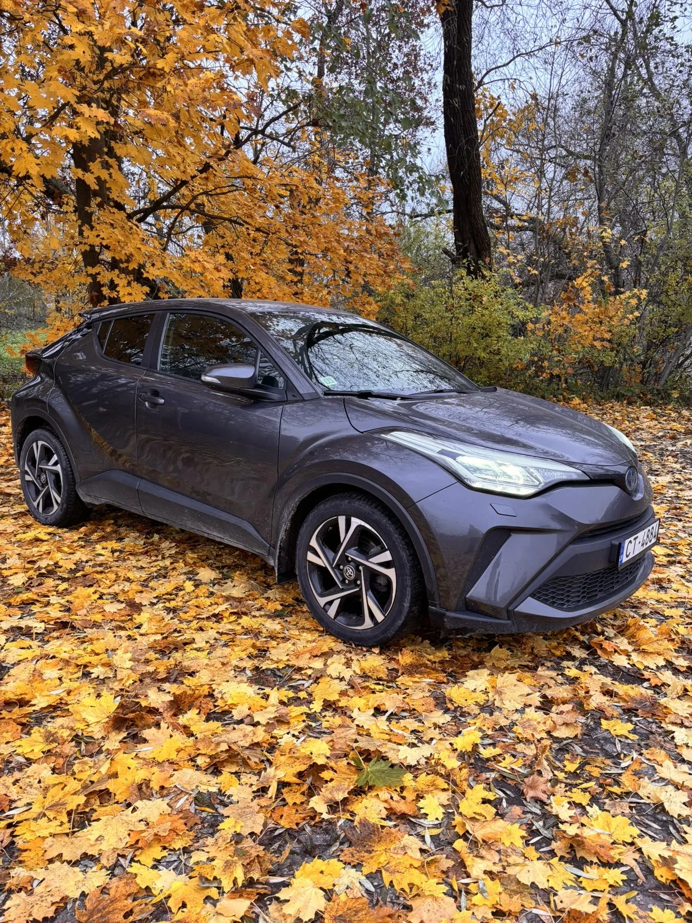 Toyota C-HR, 2022