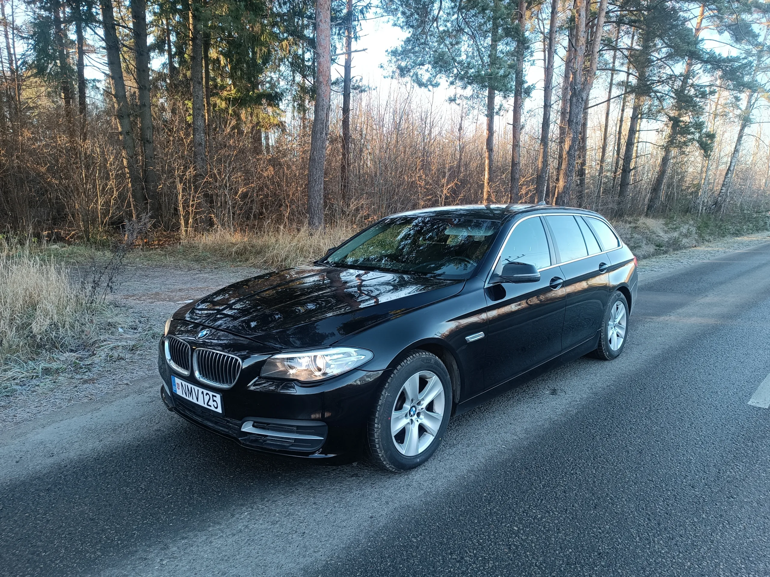 BMW 518, 2013