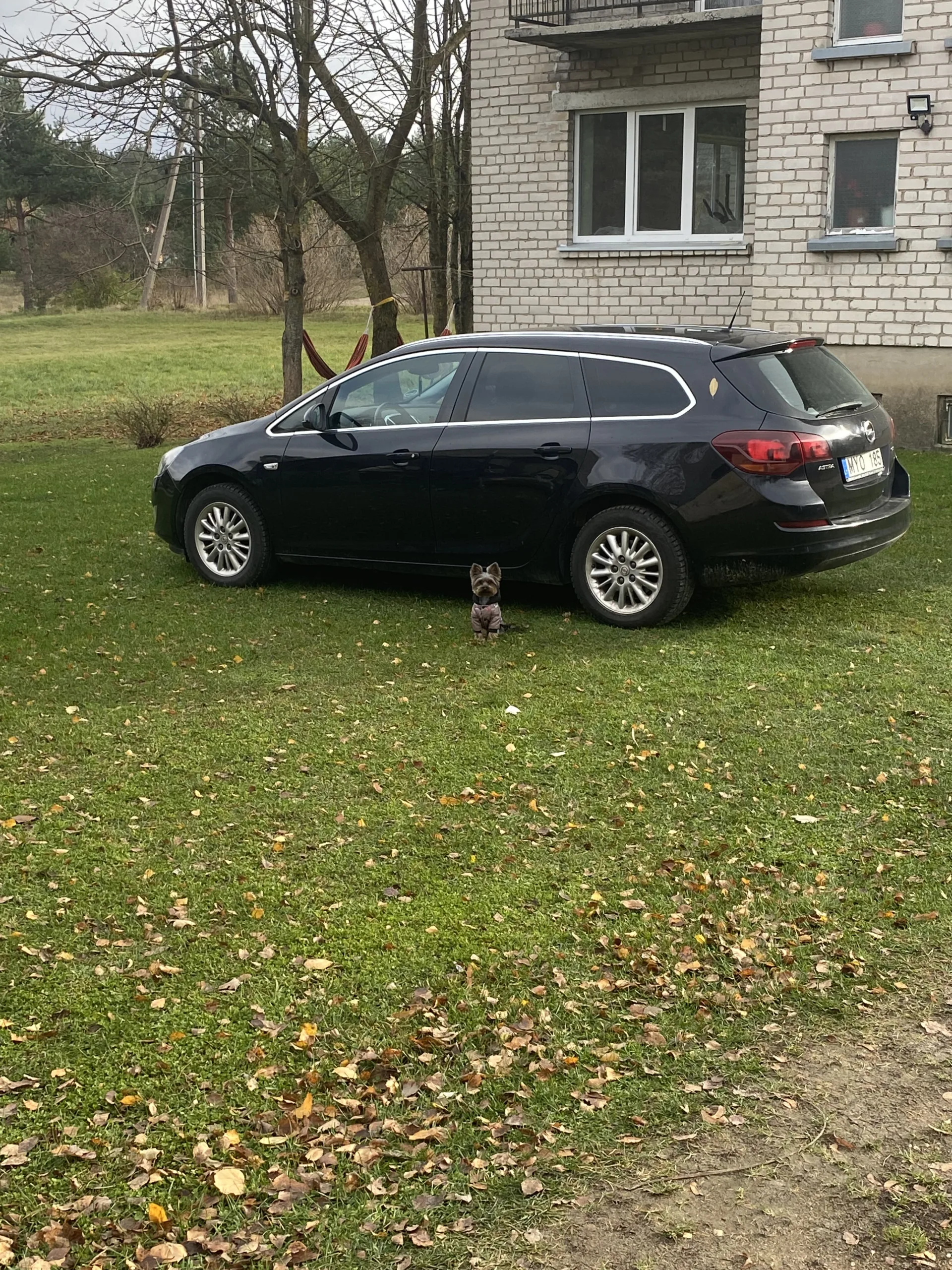 Opel Astra, 2011