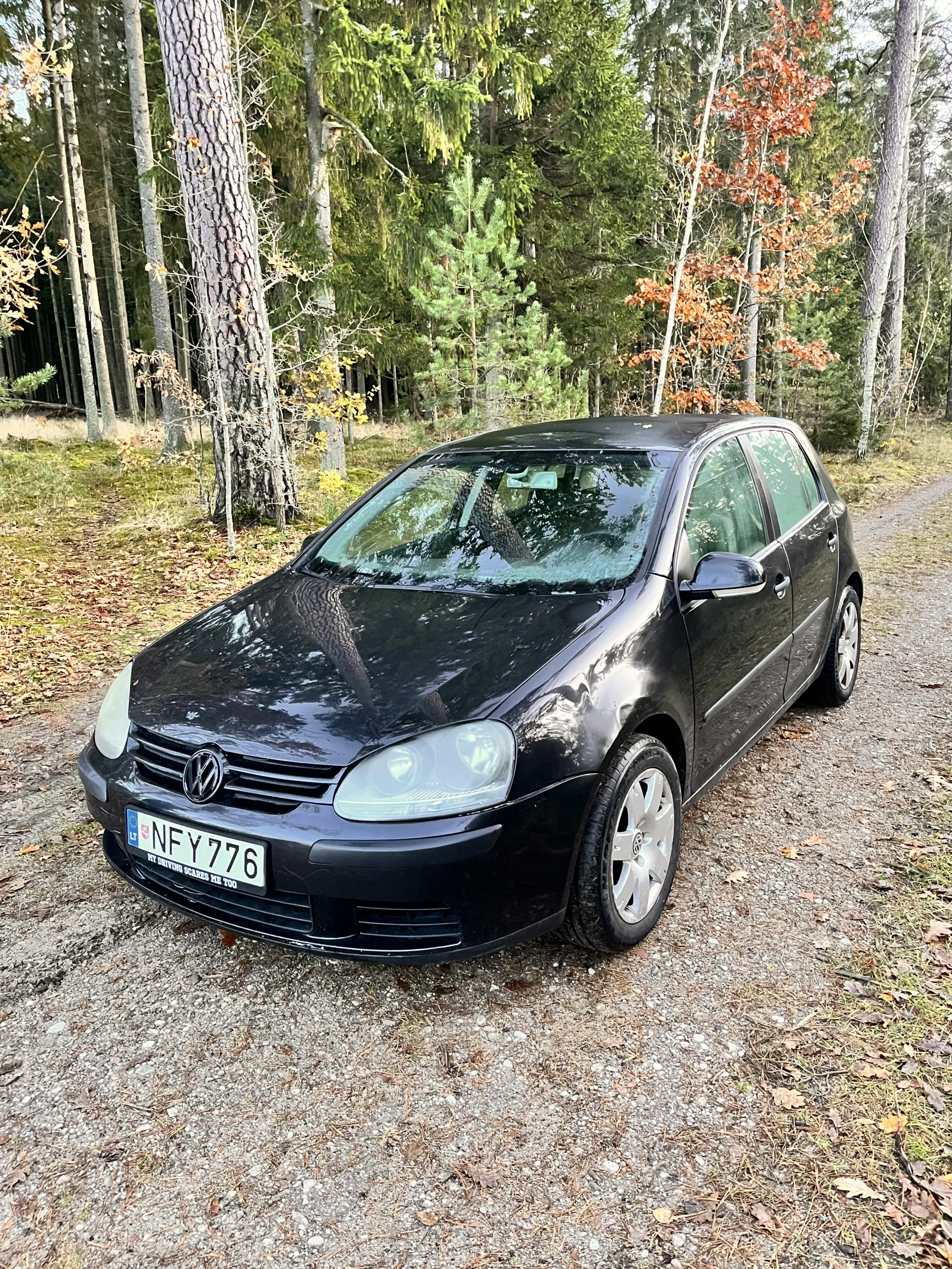 Volkswagen Golf, 2004