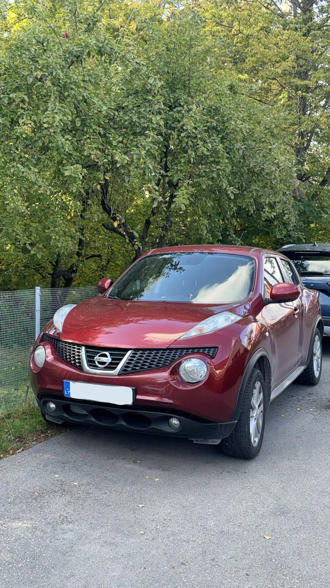 Nissan Juke, 2013