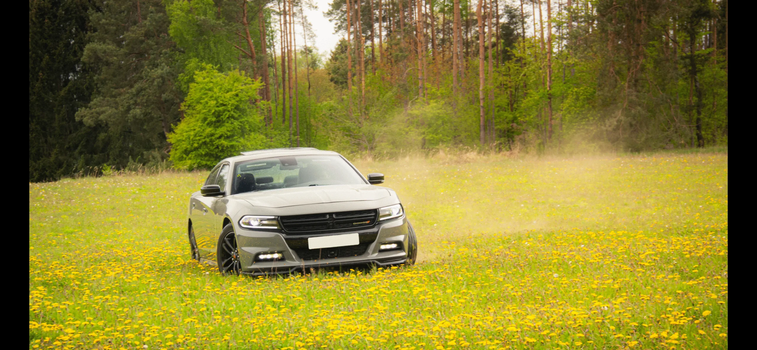 Dodge Charger, 2018