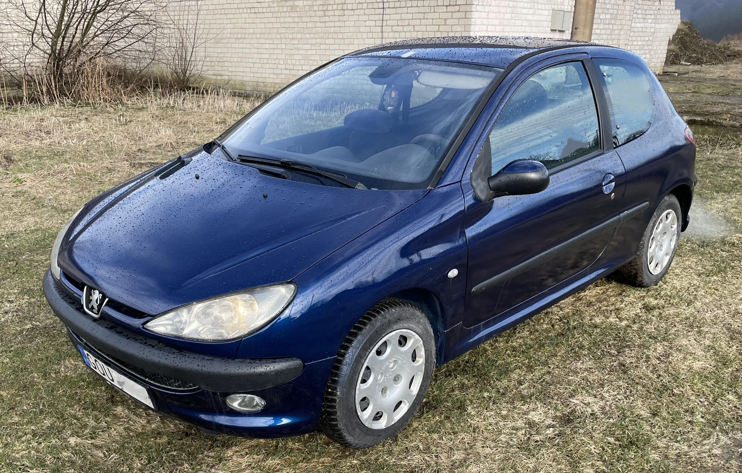 Peugeot 206, 2004